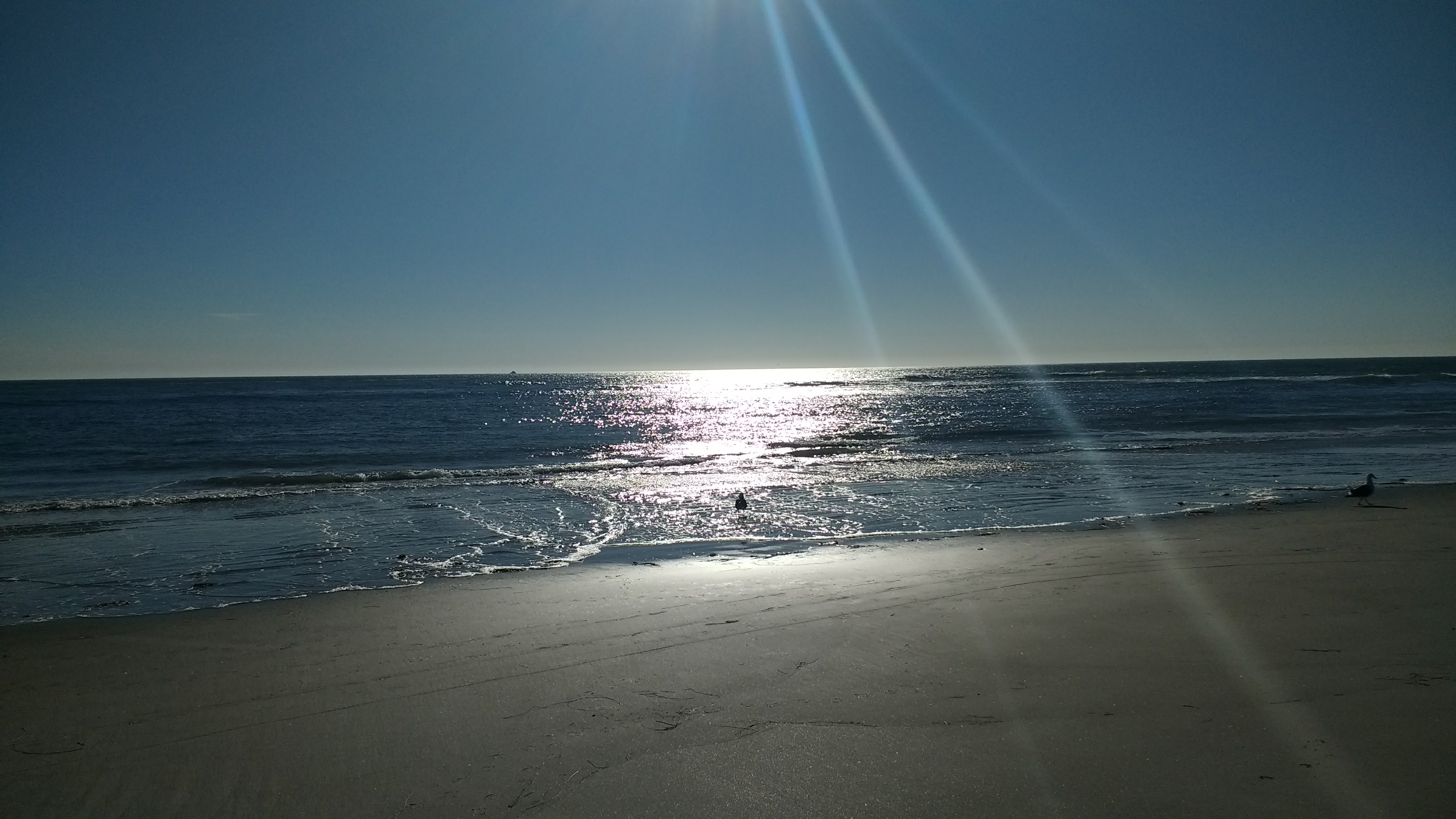 La Escondida Puerto Nuevo. Restaurante Bar image 10