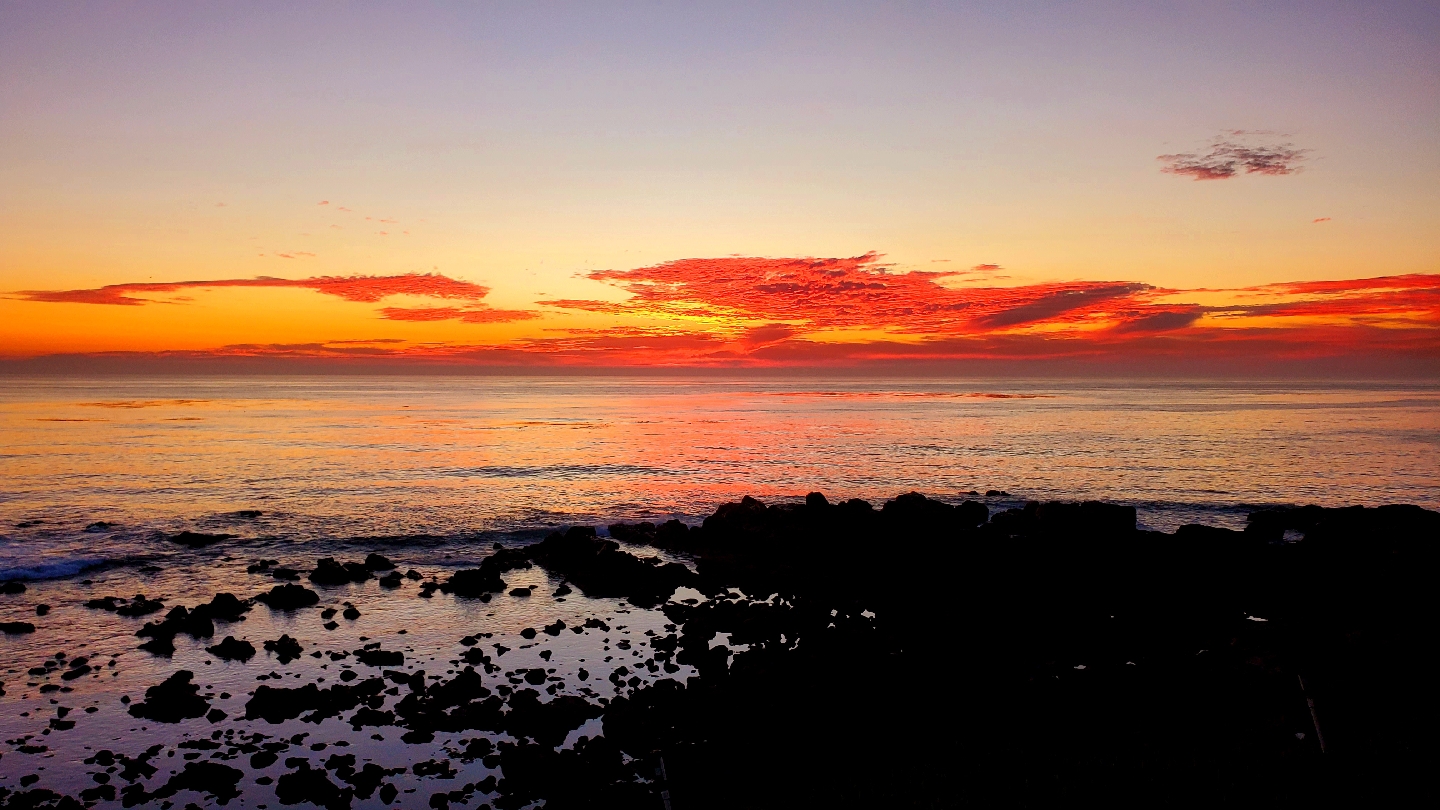 Popotla Restaurant & Bar image 4