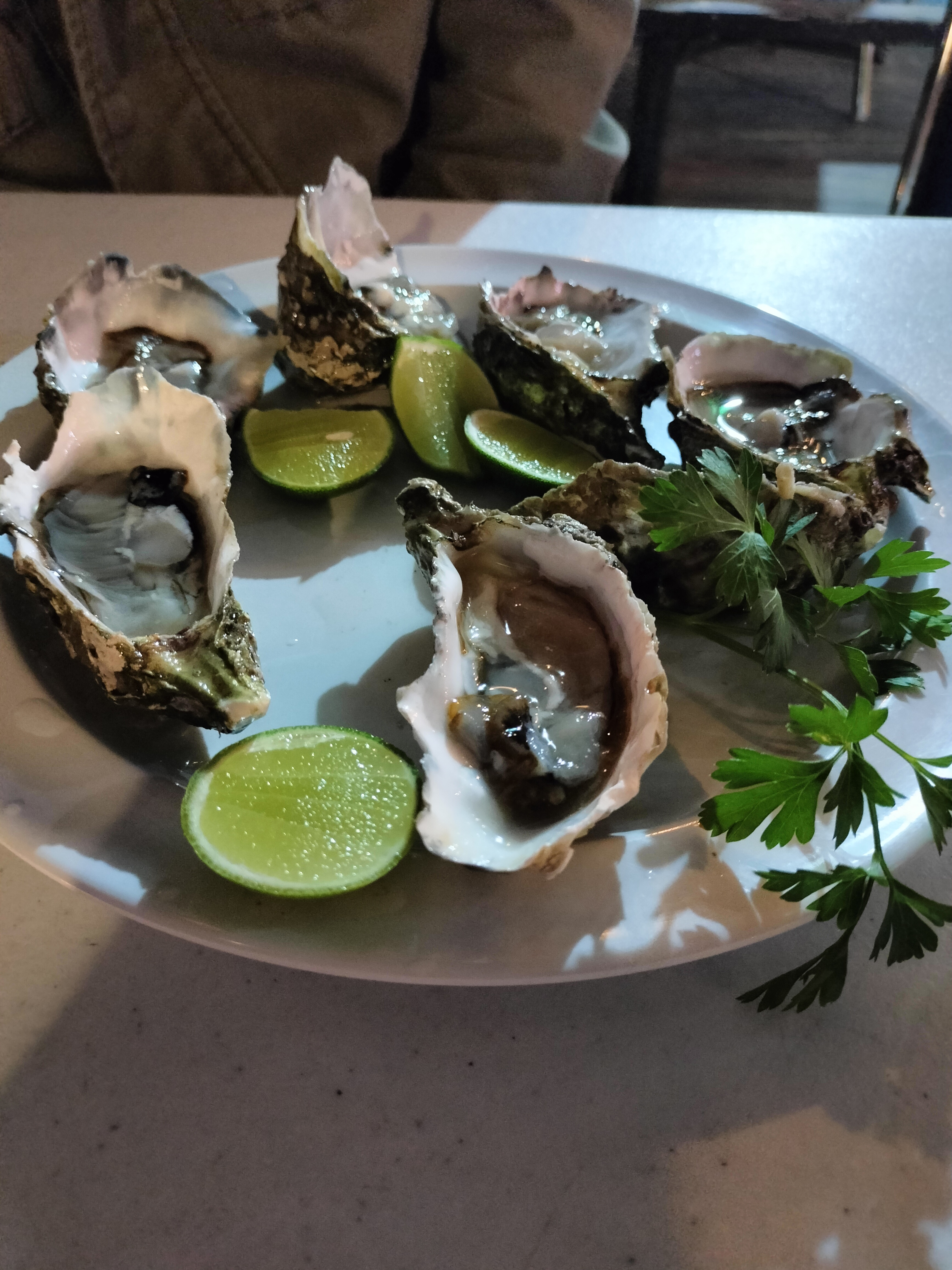 PUERTO NUEVO MAR Y TIERRA image 8