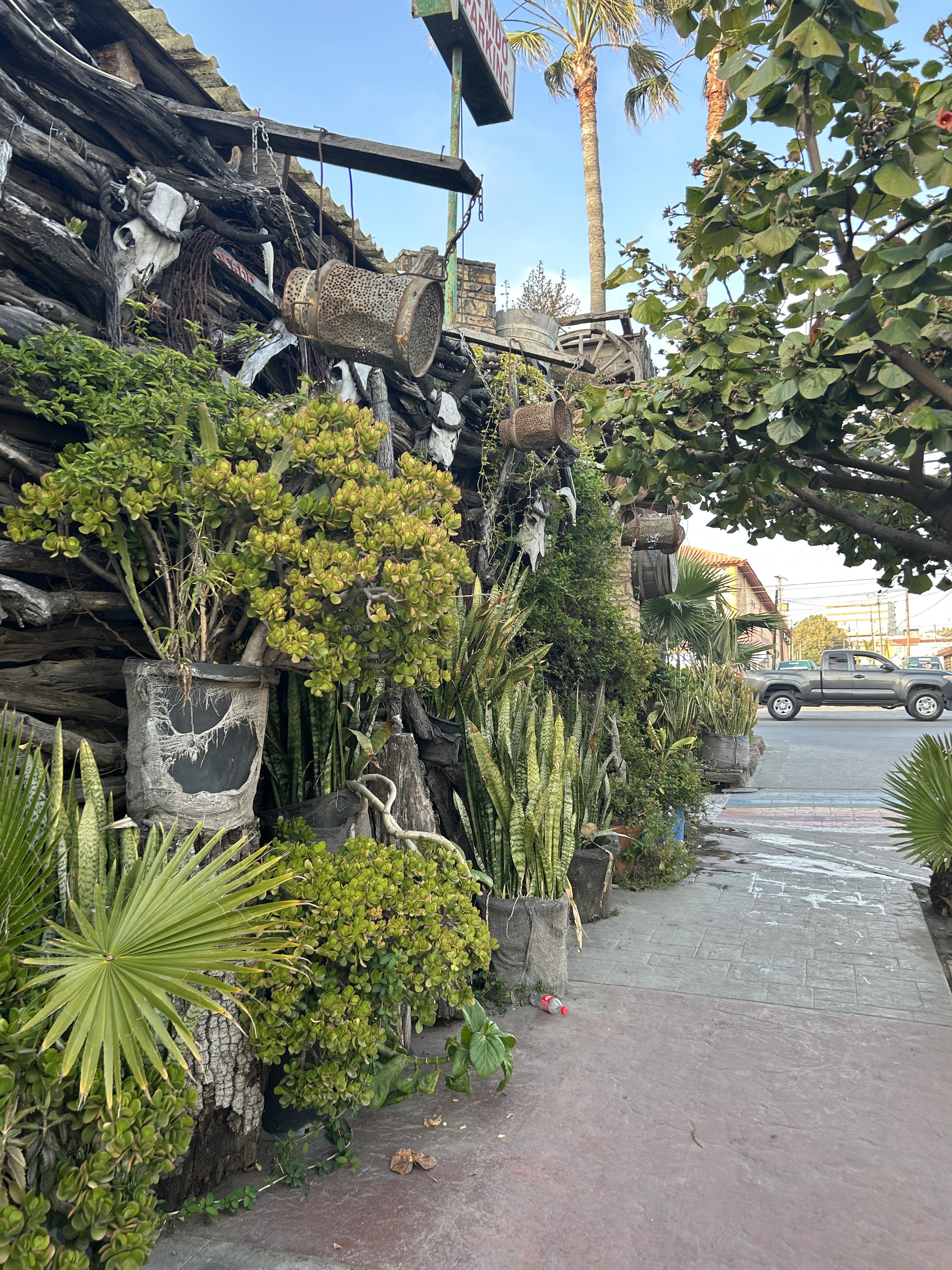 El Nido Restaurante image 3