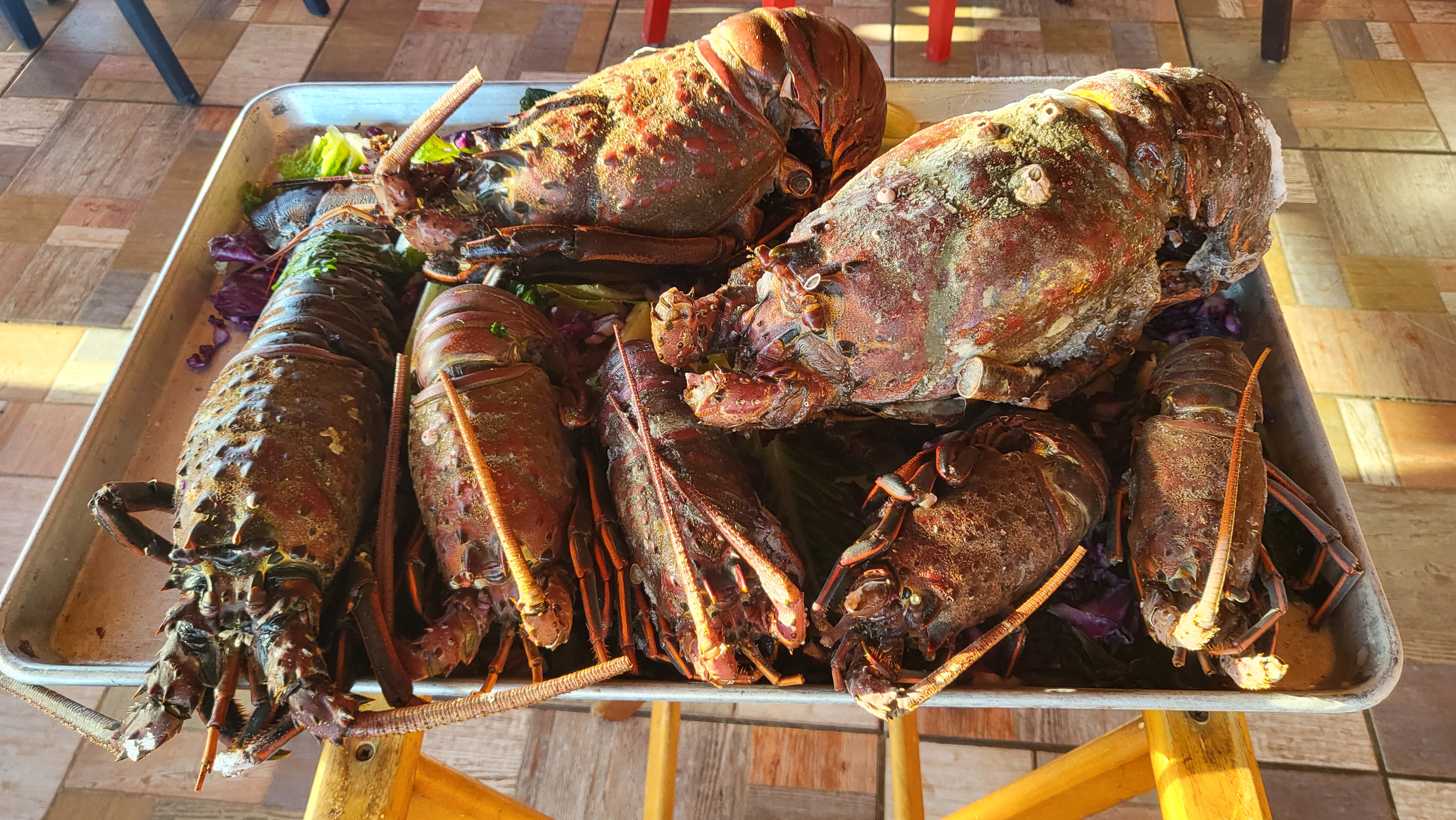 Restaurant-bar Playa Delfin image 6