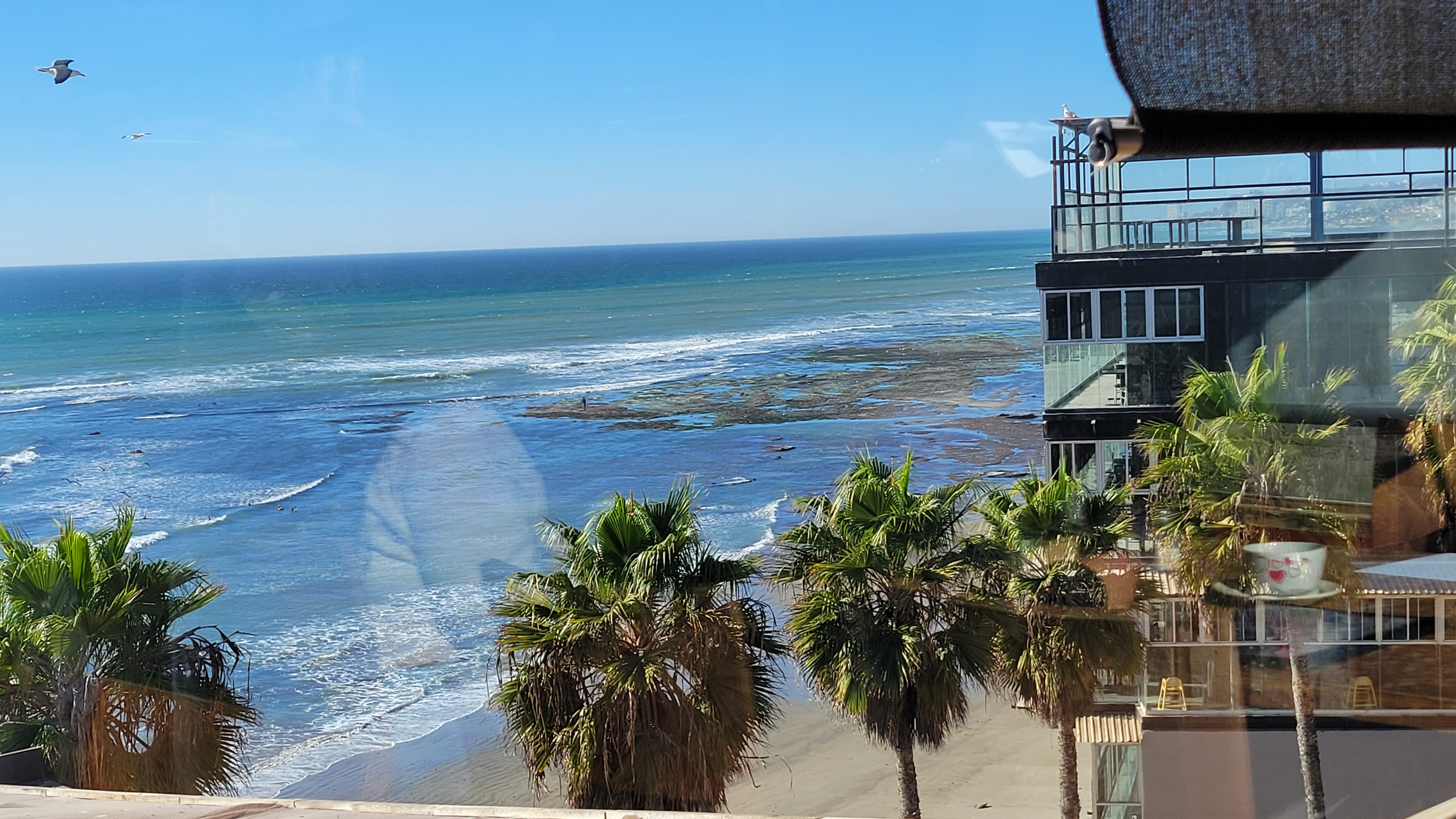 Restaurant-bar Playa Delfin image 9