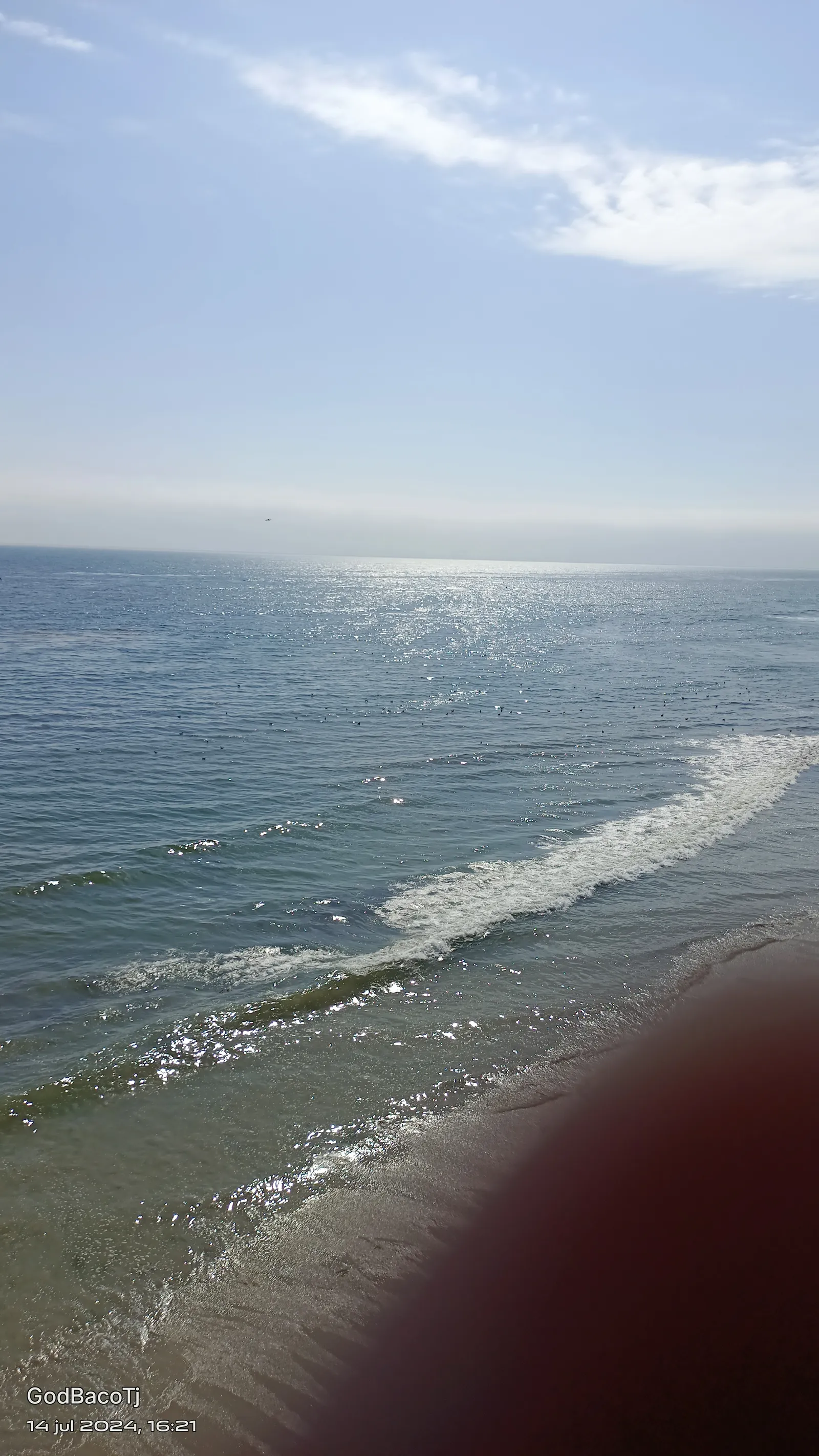 Olas del Mar image 8