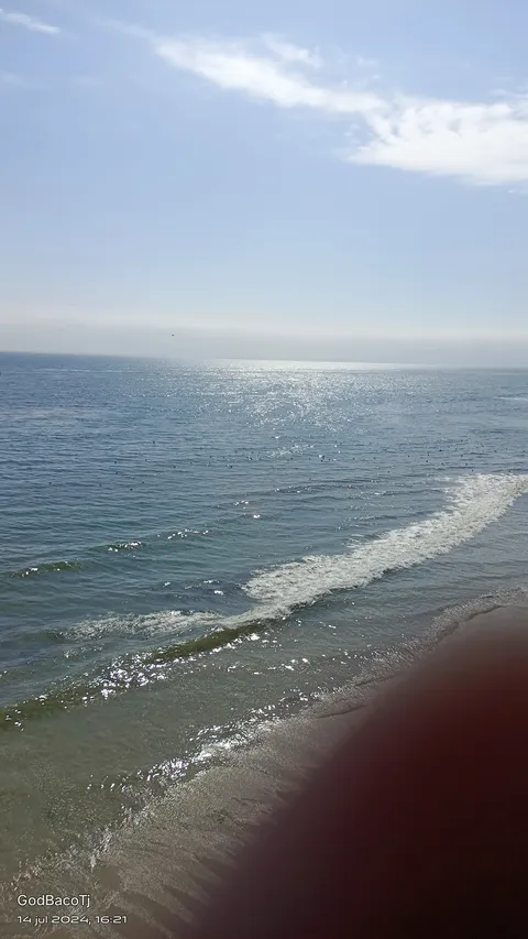 Olas del Mar image 8