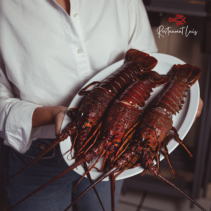 Restaurant Luis Puerto Nuevo image 2