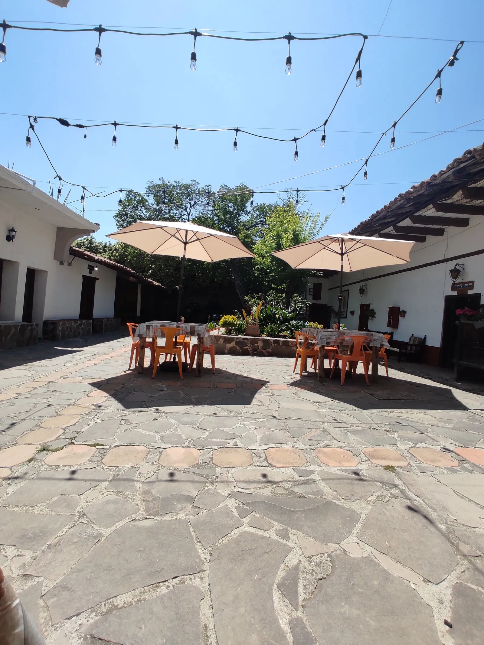 El Café de Shal image 7