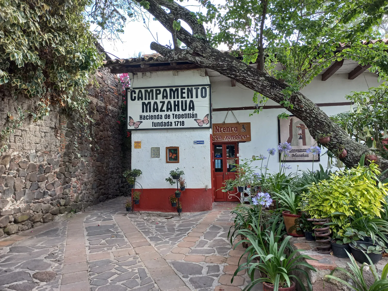 El Café de Shal image 8