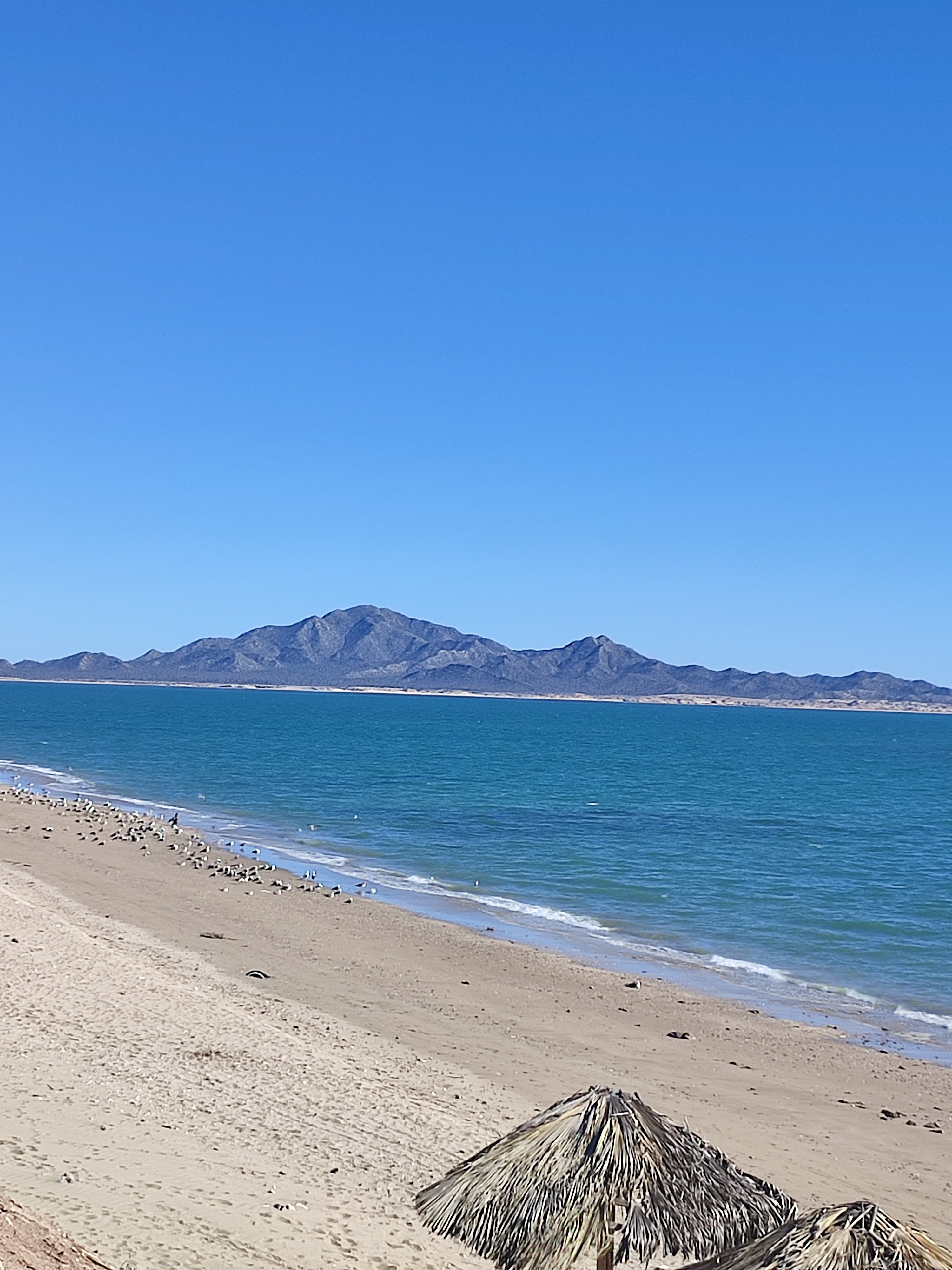 Restaurante de Mariscos Bahía image 7