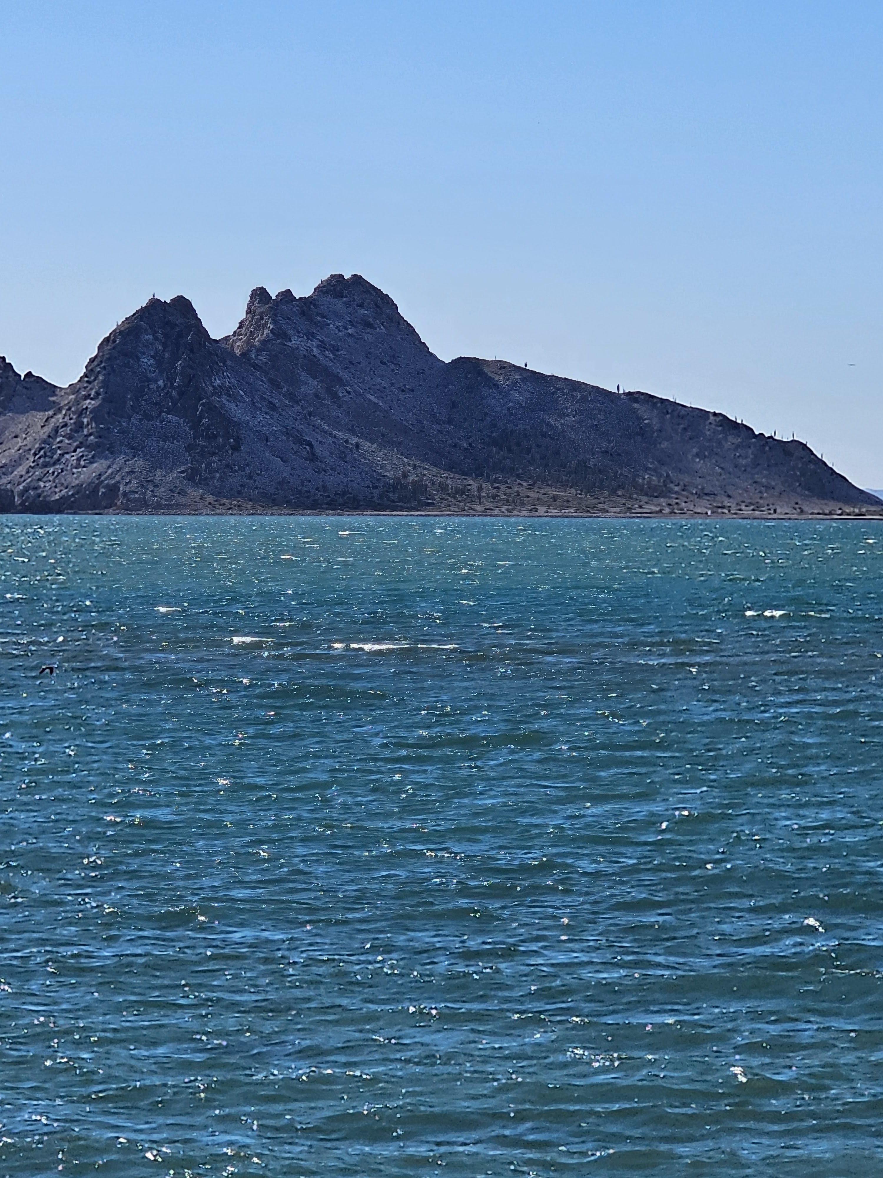 Restaurante de Mariscos Bahía image 9
