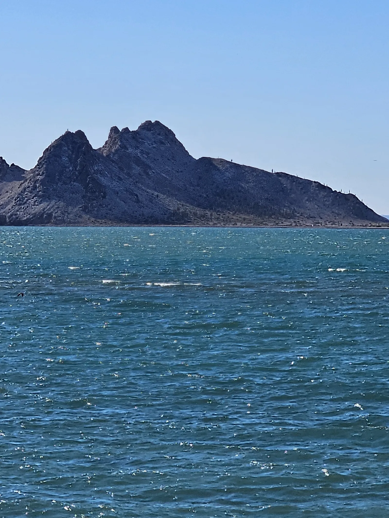 Restaurante de Mariscos Bahía image 9
