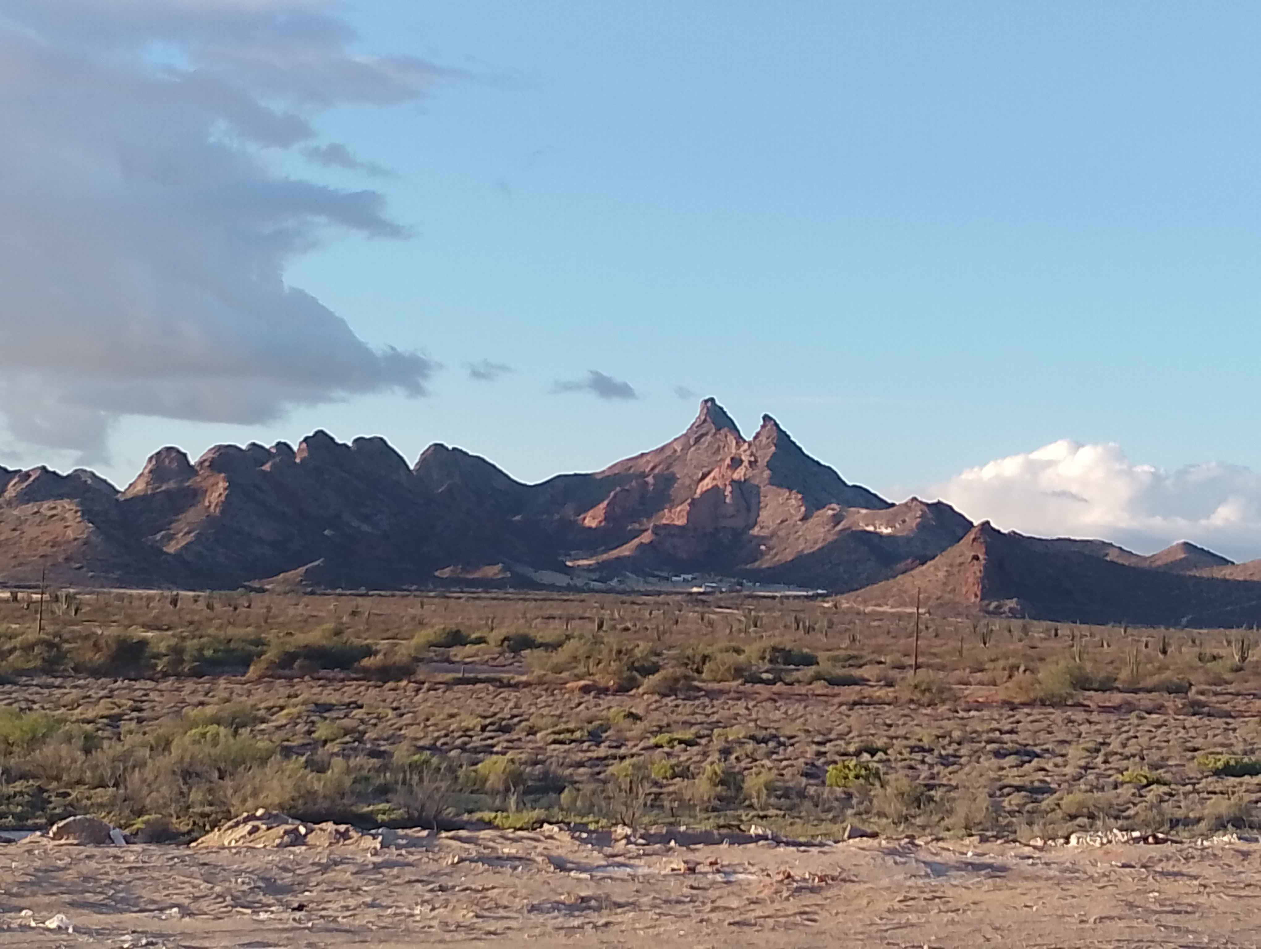 El Pargo Rojo Restaurant image 5