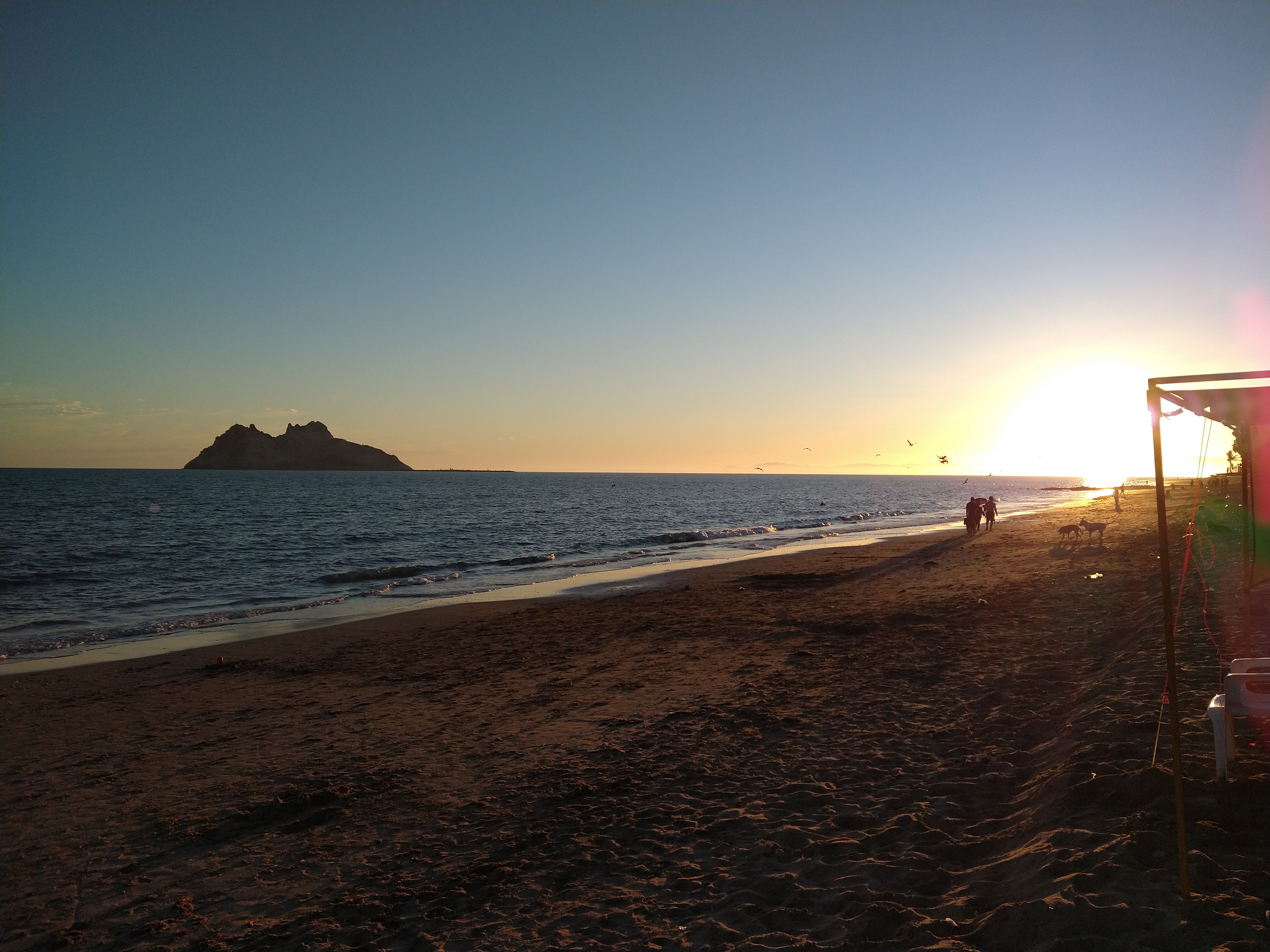 Restaurant Bar Marlin image 5