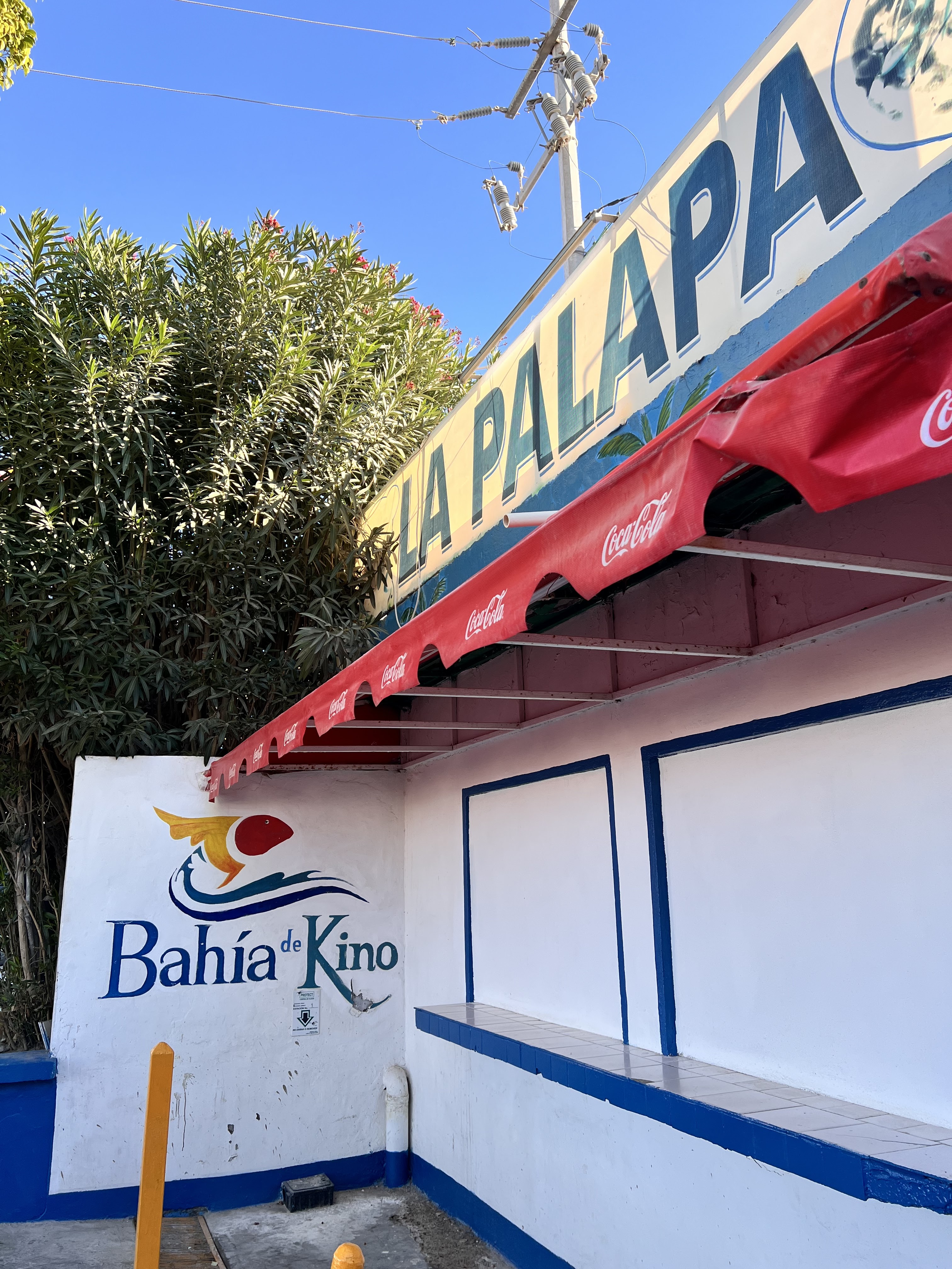 La Palapa Restaurant image 1