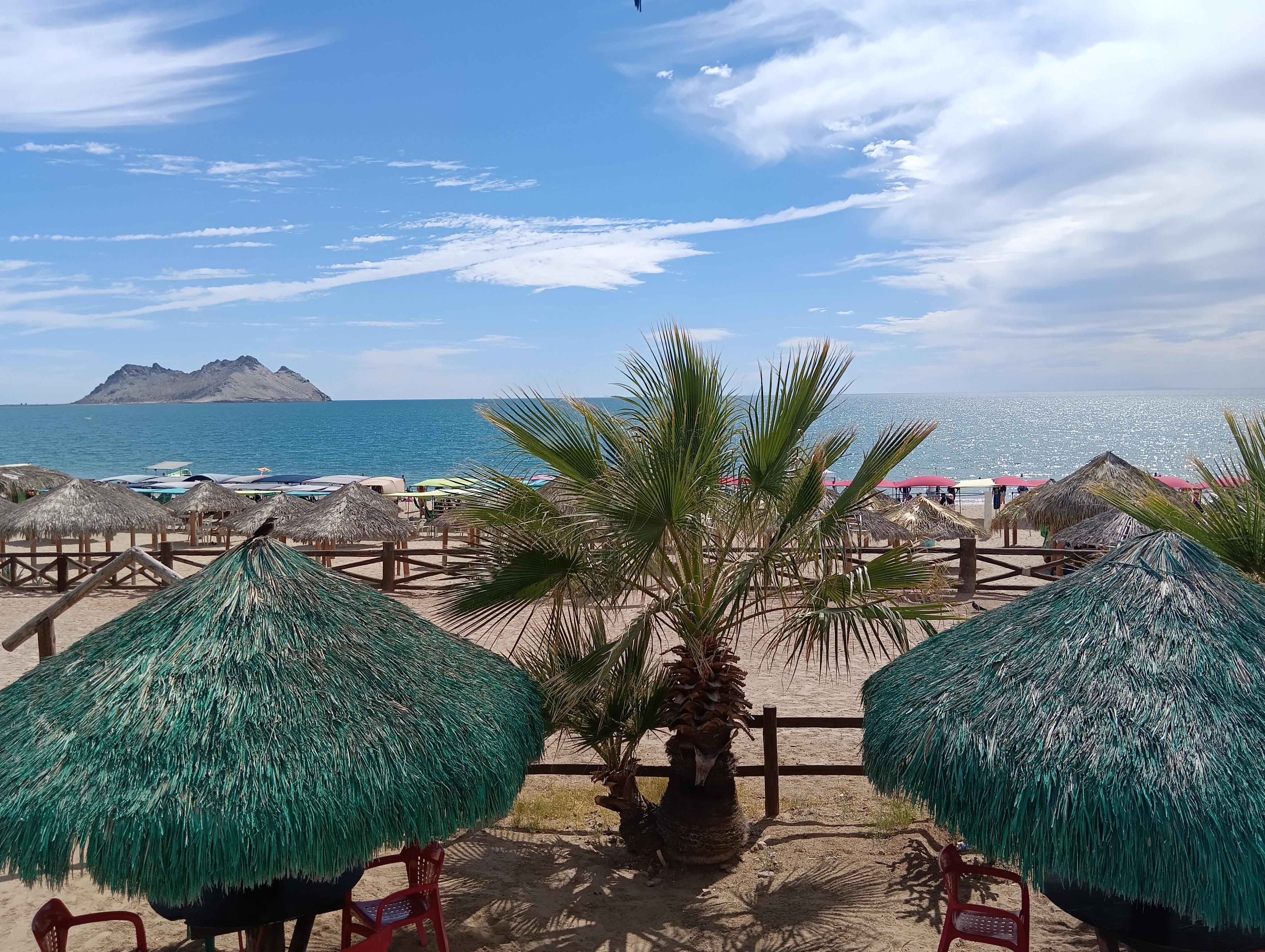 La Palapa Restaurant image 3