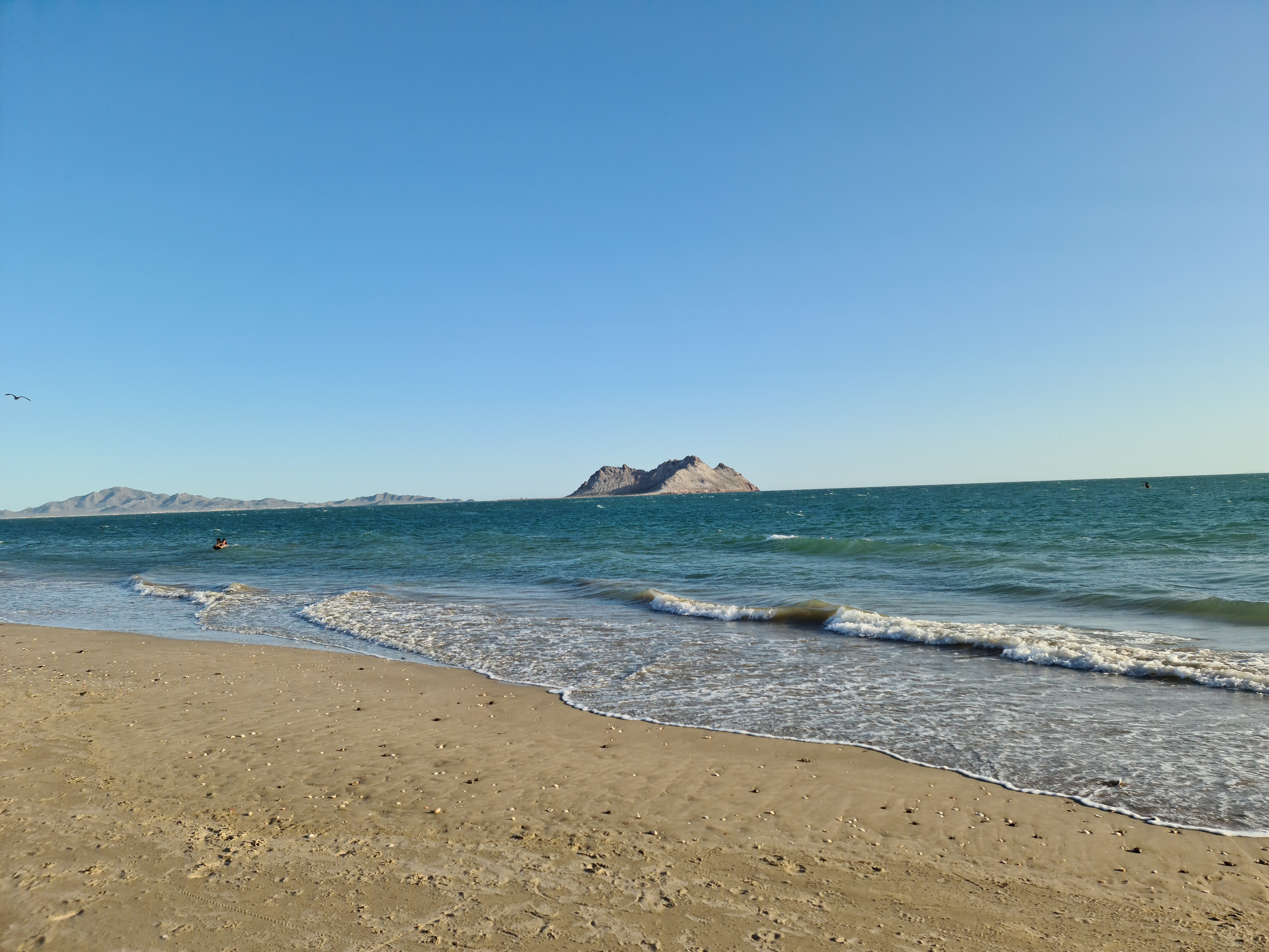 La Palapa Restaurant image 4