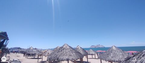 La Palapa Restaurant image 5