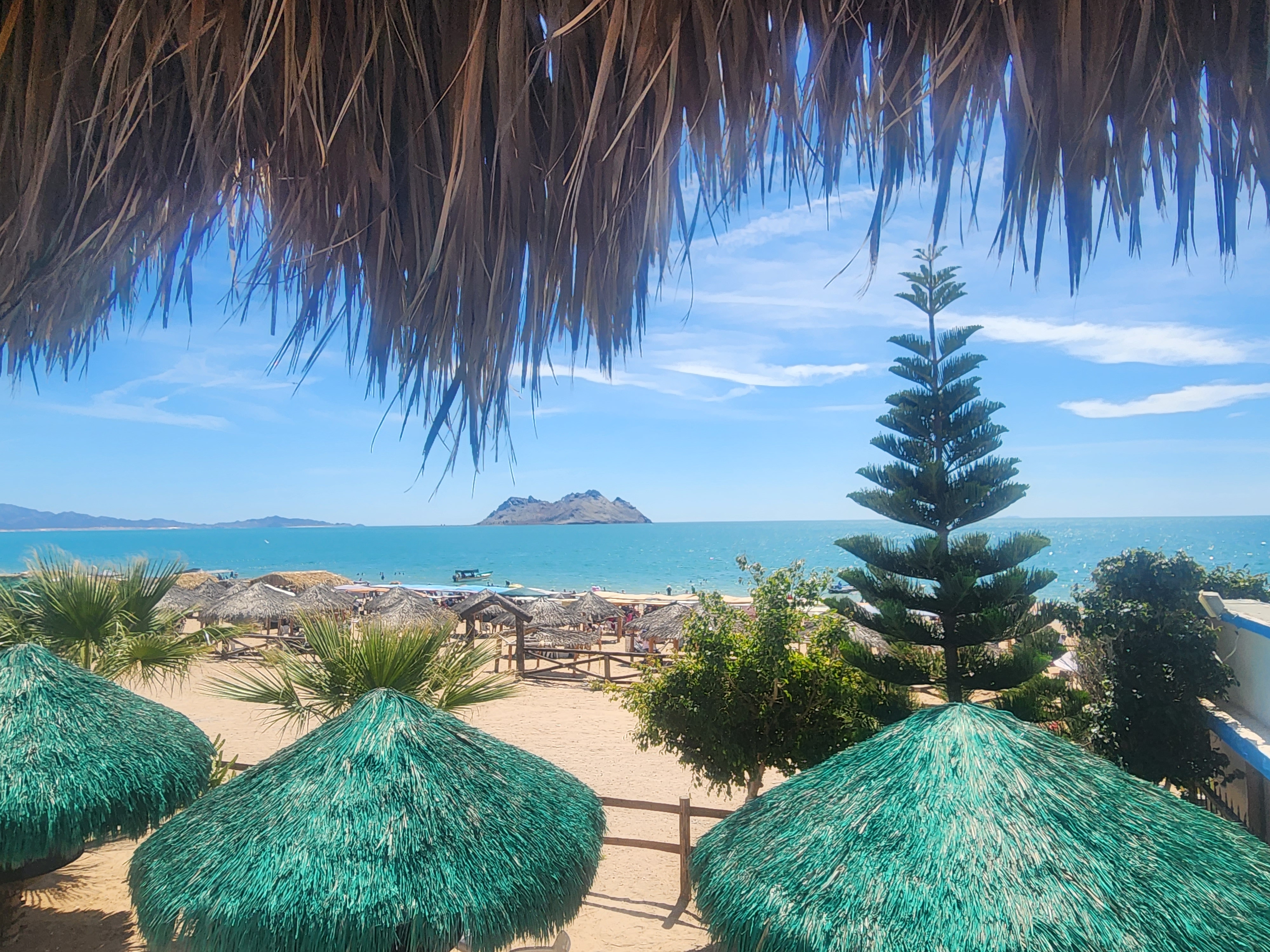 La Palapa Restaurant image 8