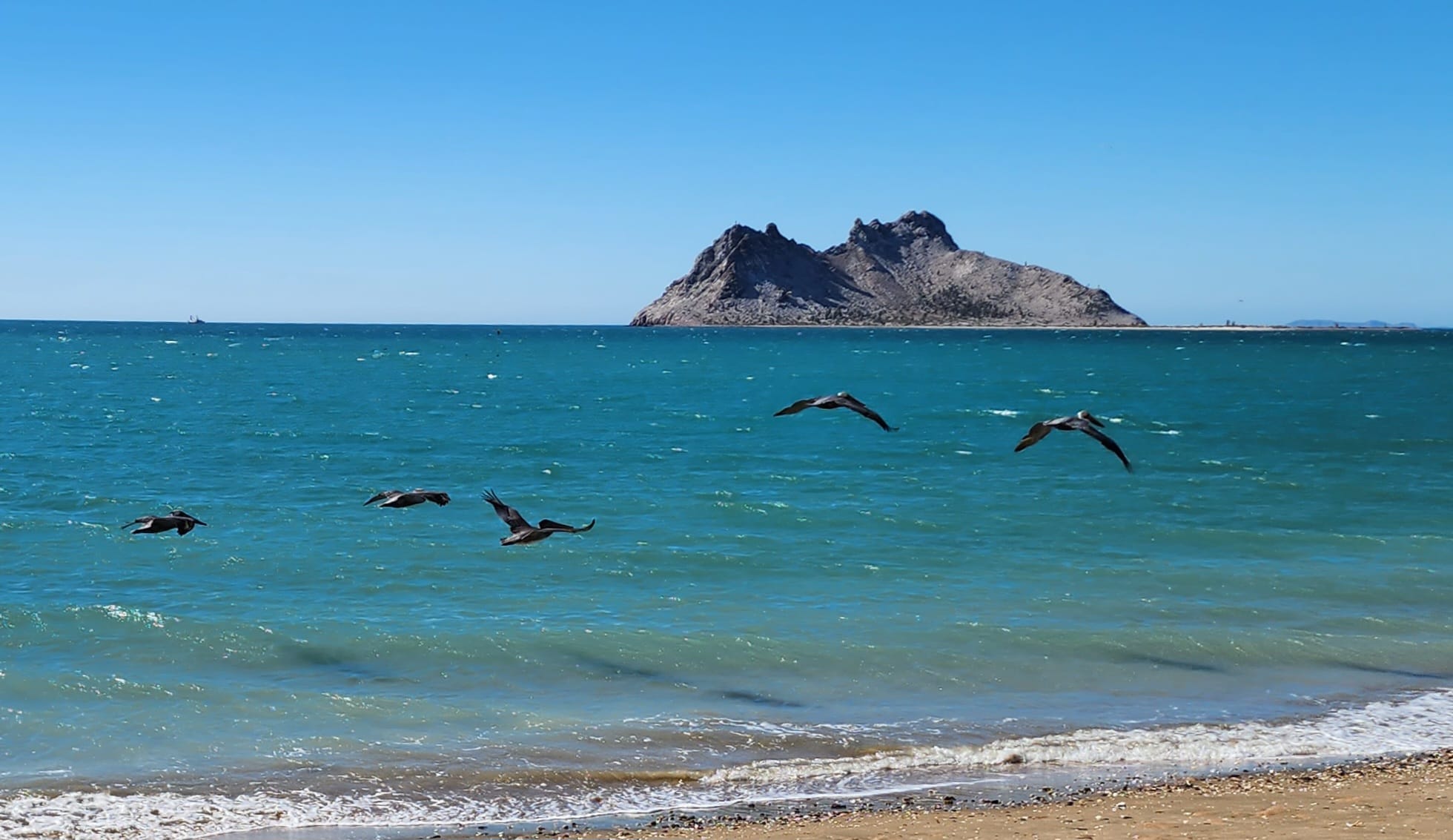 Restaurante Brisa del Mar image 5