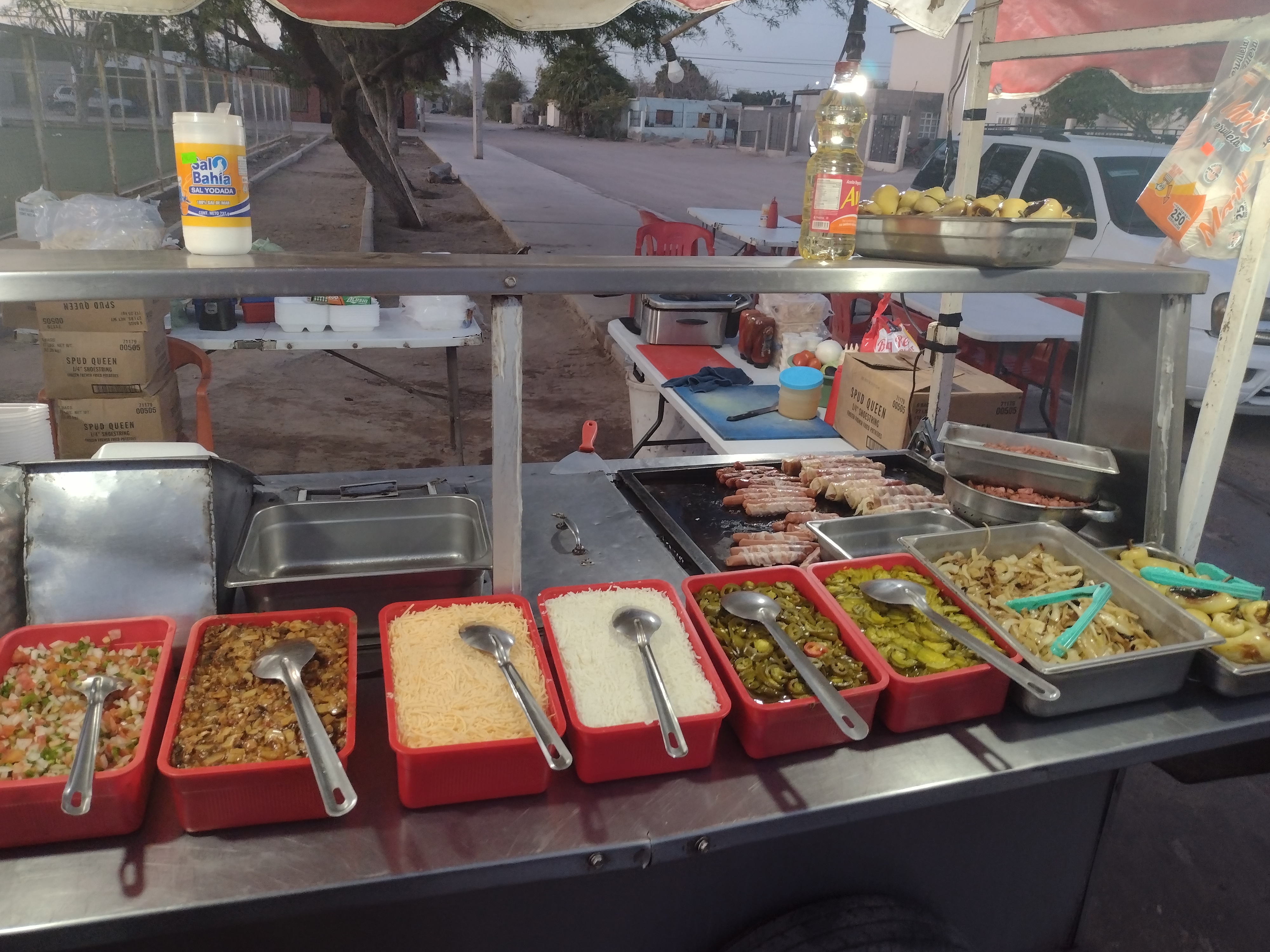 DOGOS PARQUE ARENOSO image 1