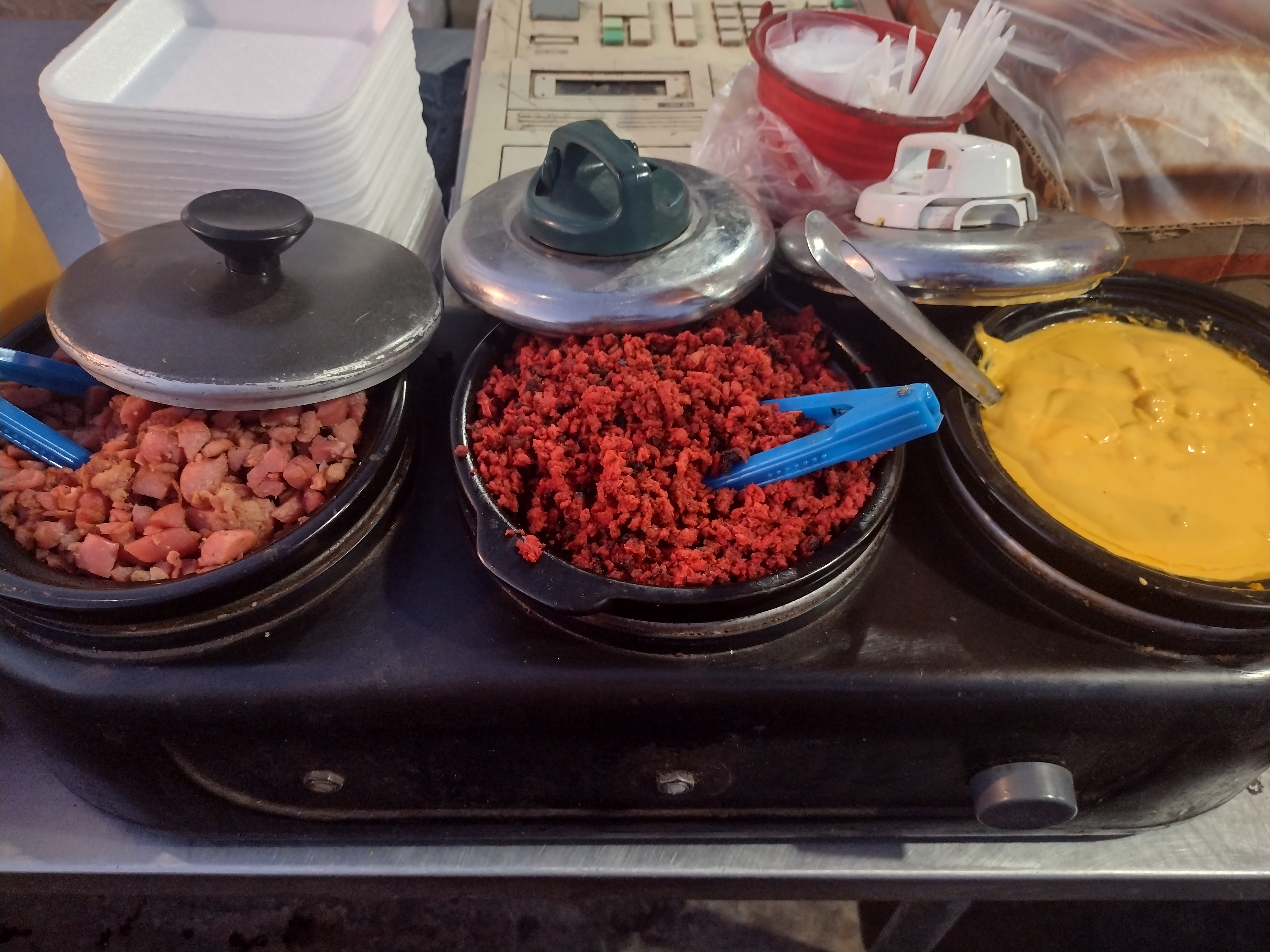 DOGOS PARQUE ARENOSO image 2