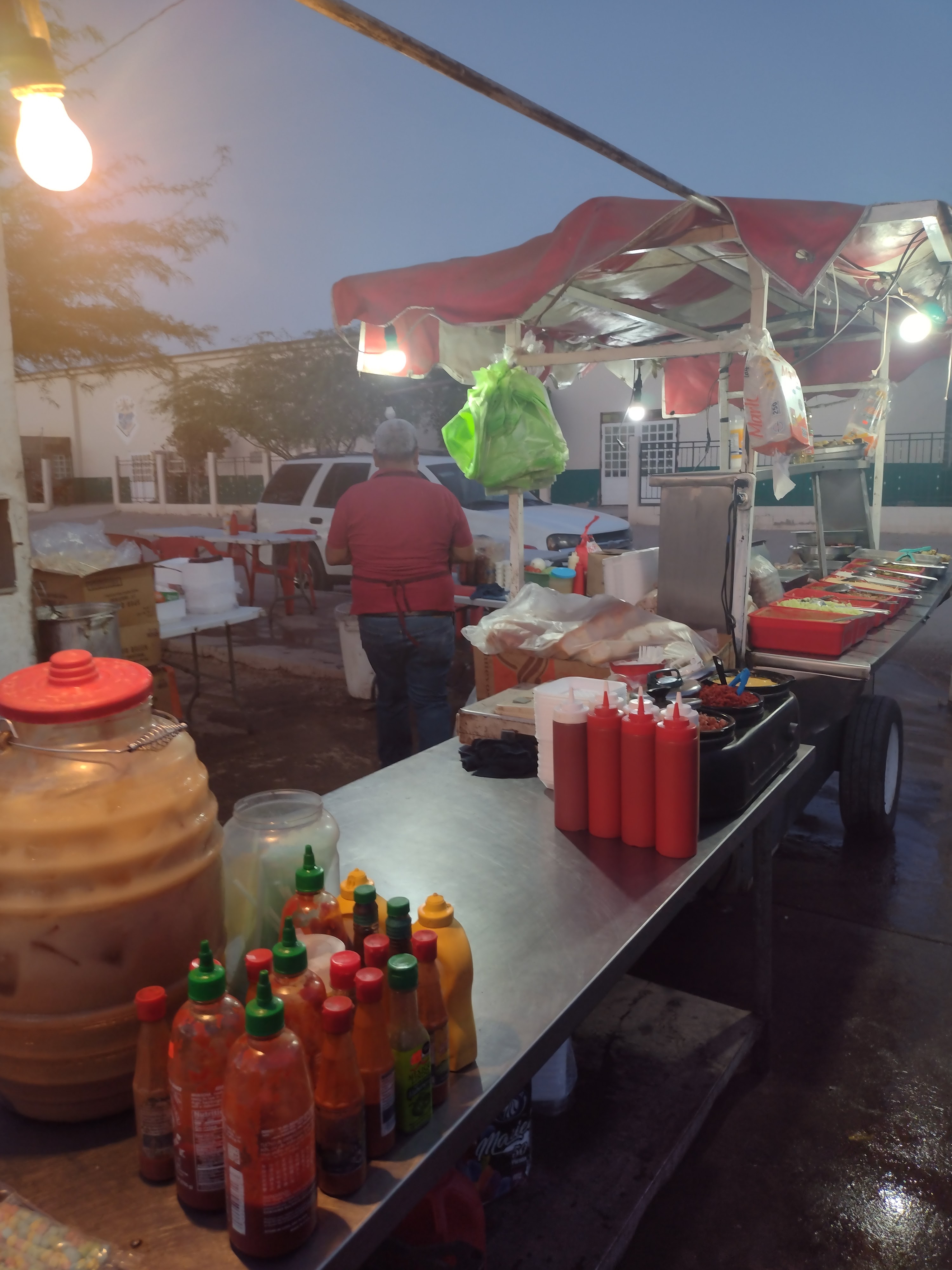 DOGOS PARQUE ARENOSO image 8