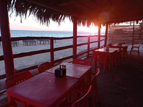 La Cobacha image 1