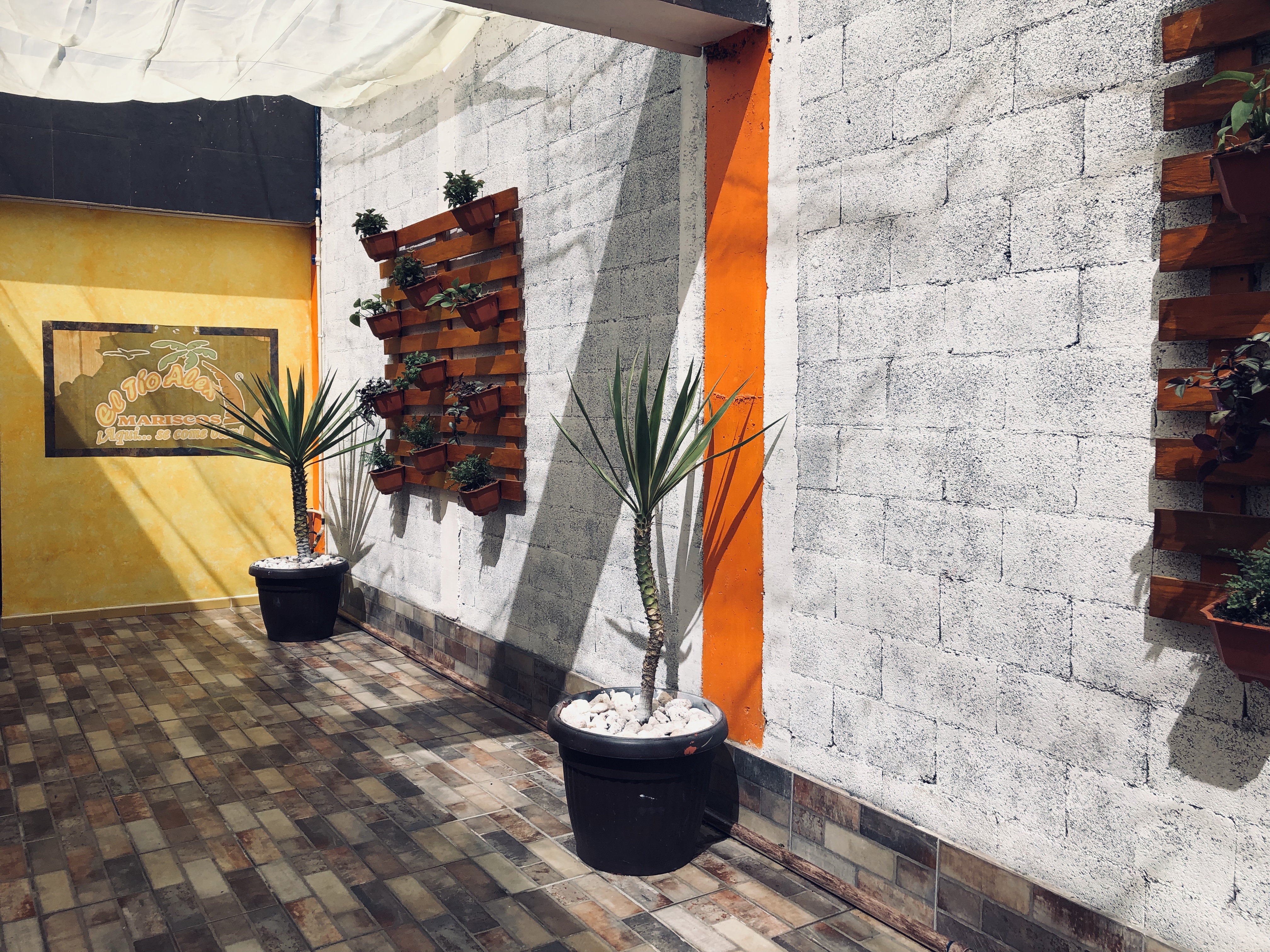 Mariscos “El Tío Alex” Av Plateros image 9