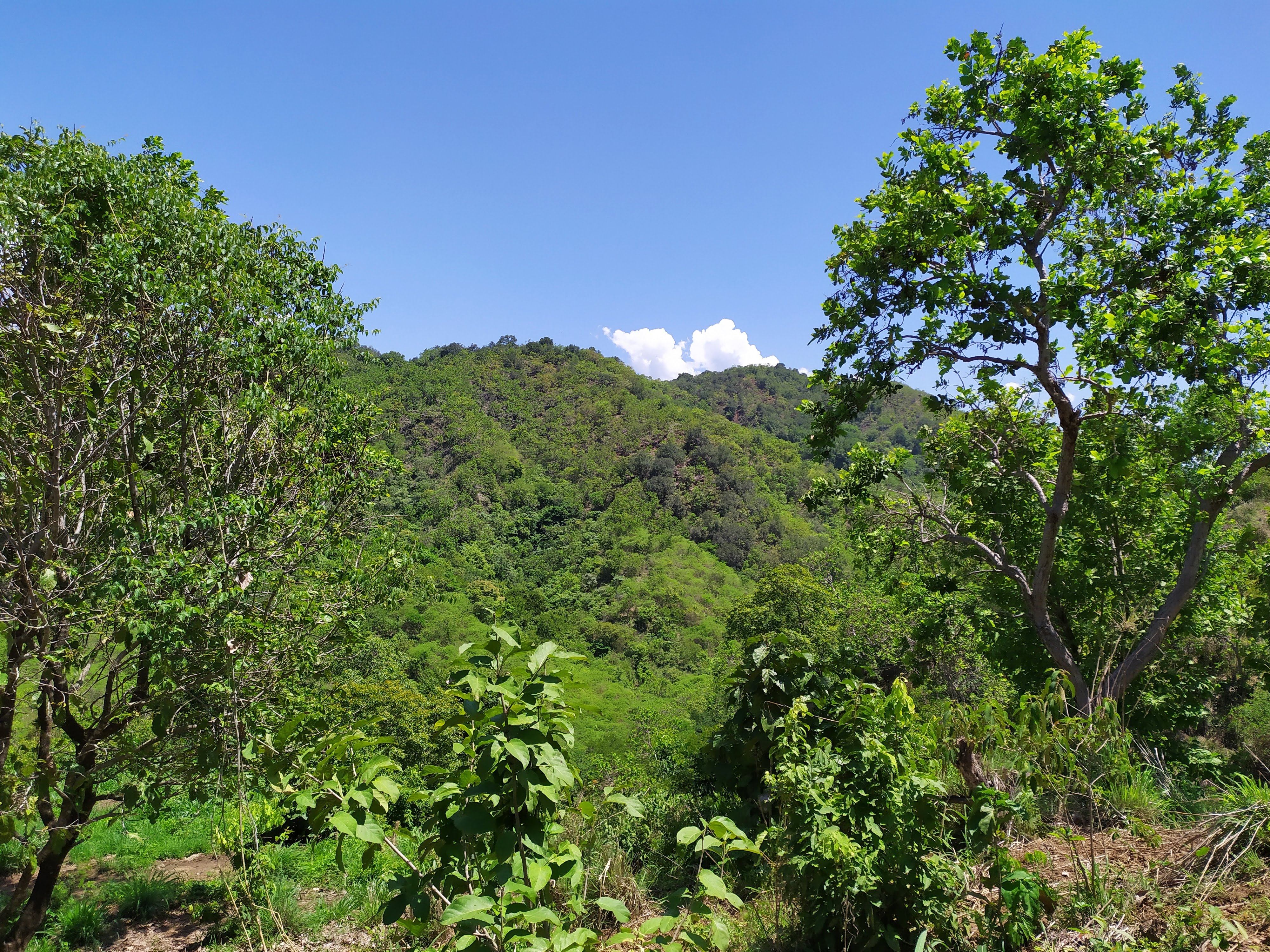 Suljaa' w'aa nantquie image 3