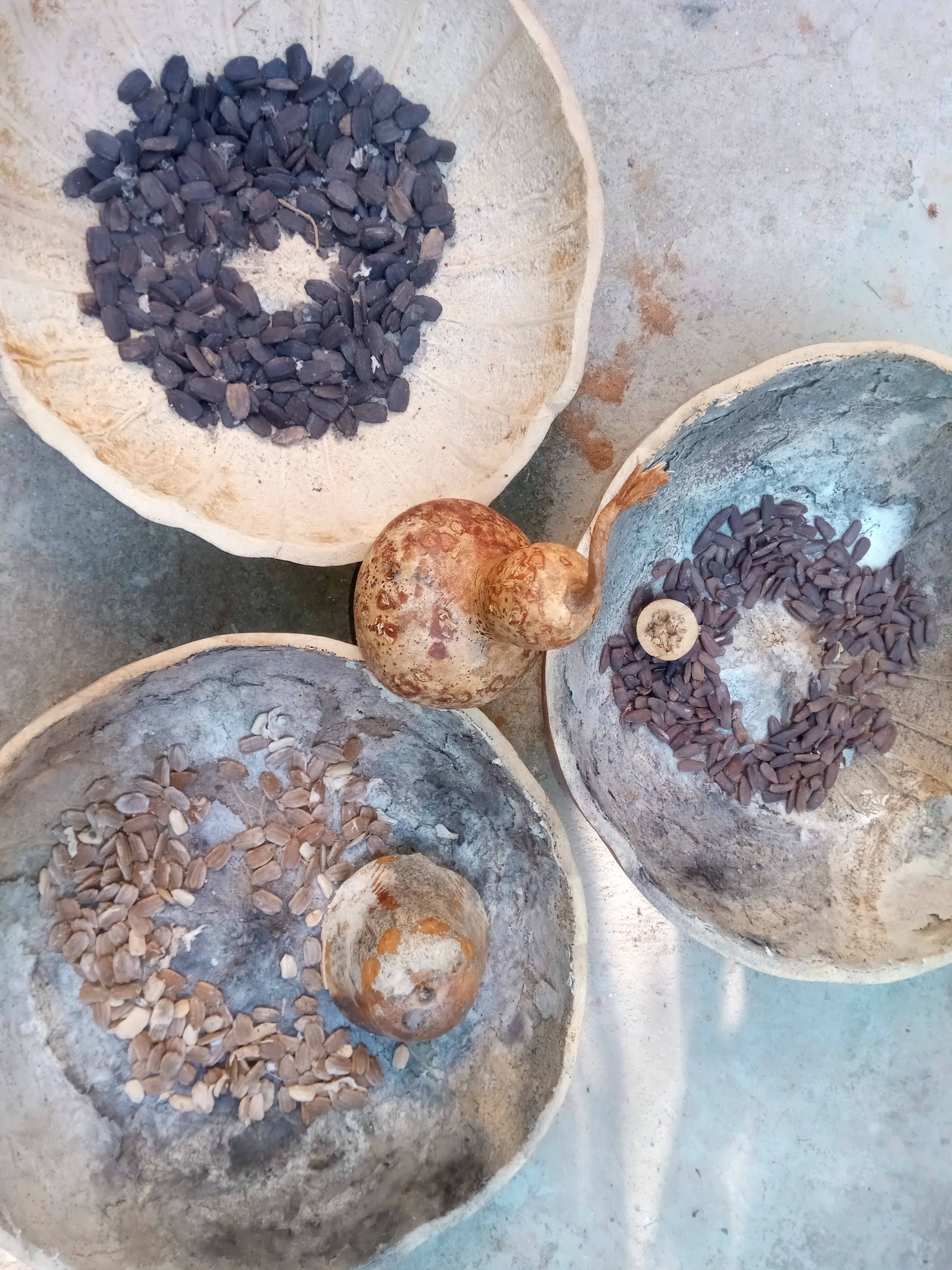 Suljaa' w'aa nantquie image 5