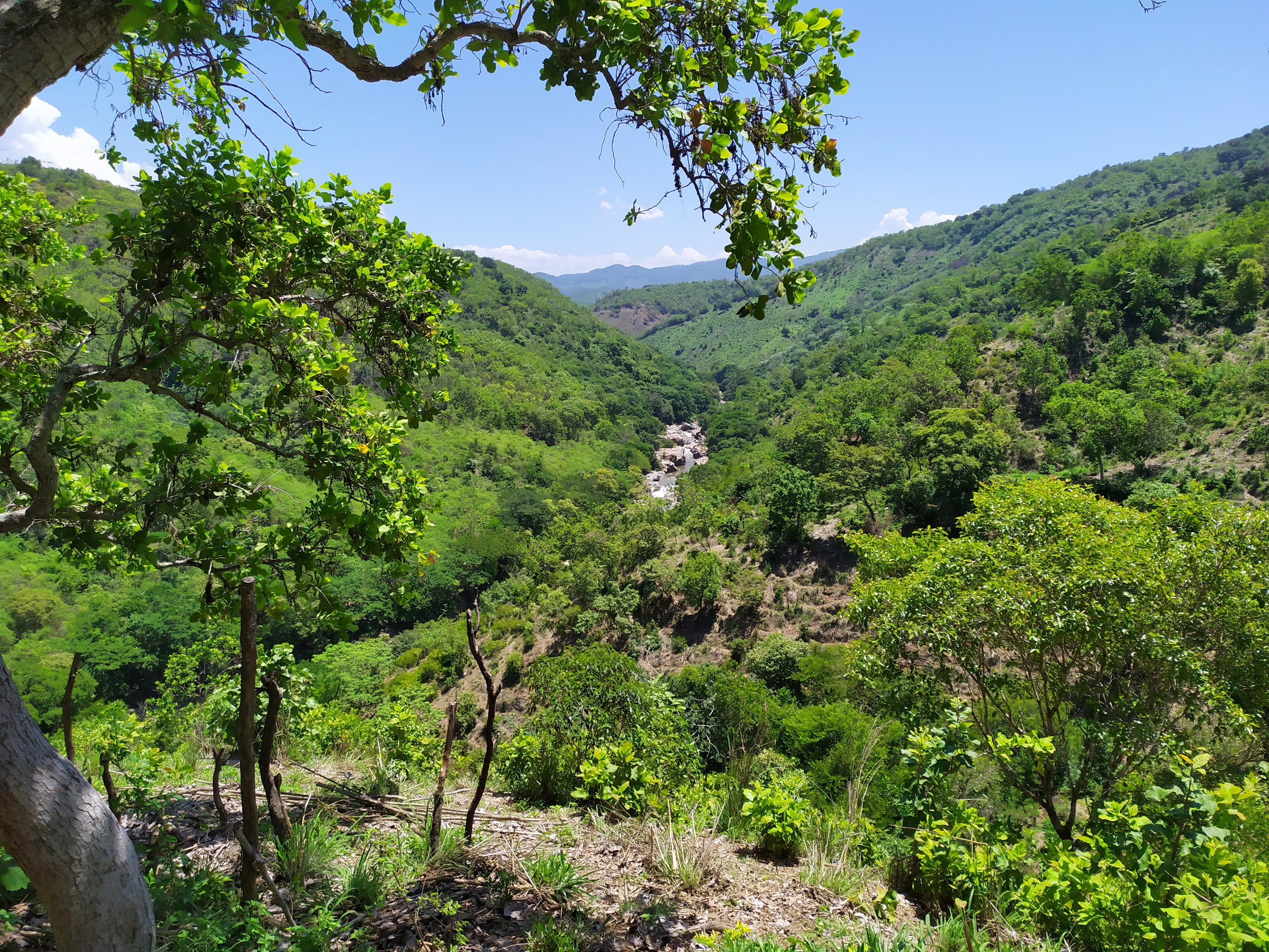 Suljaa' w'aa nantquie image 6