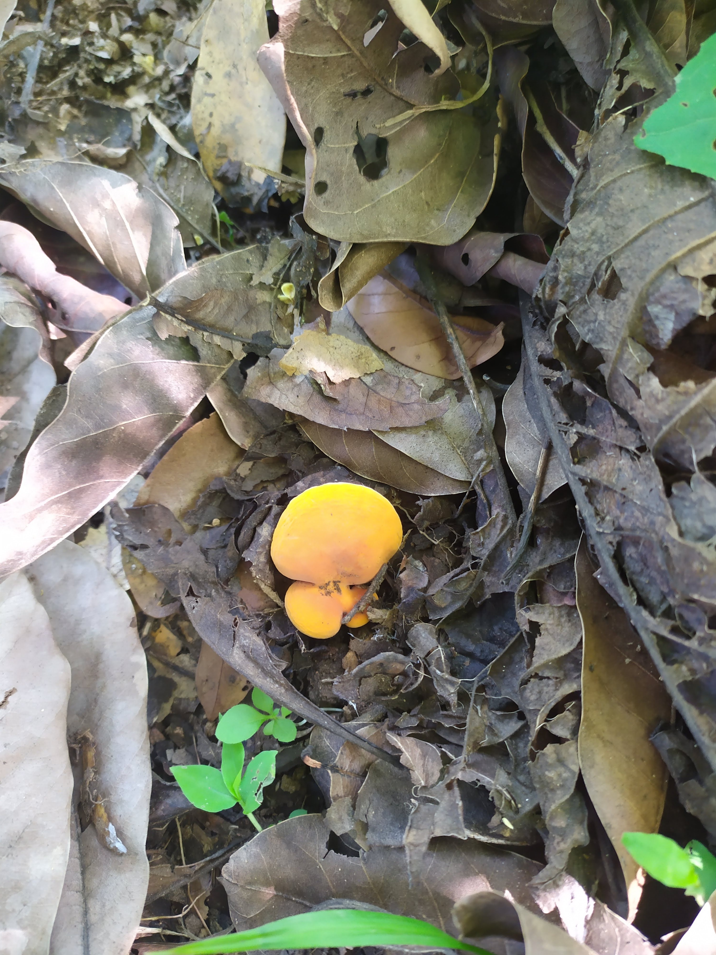 Suljaa' w'aa nantquie image 10