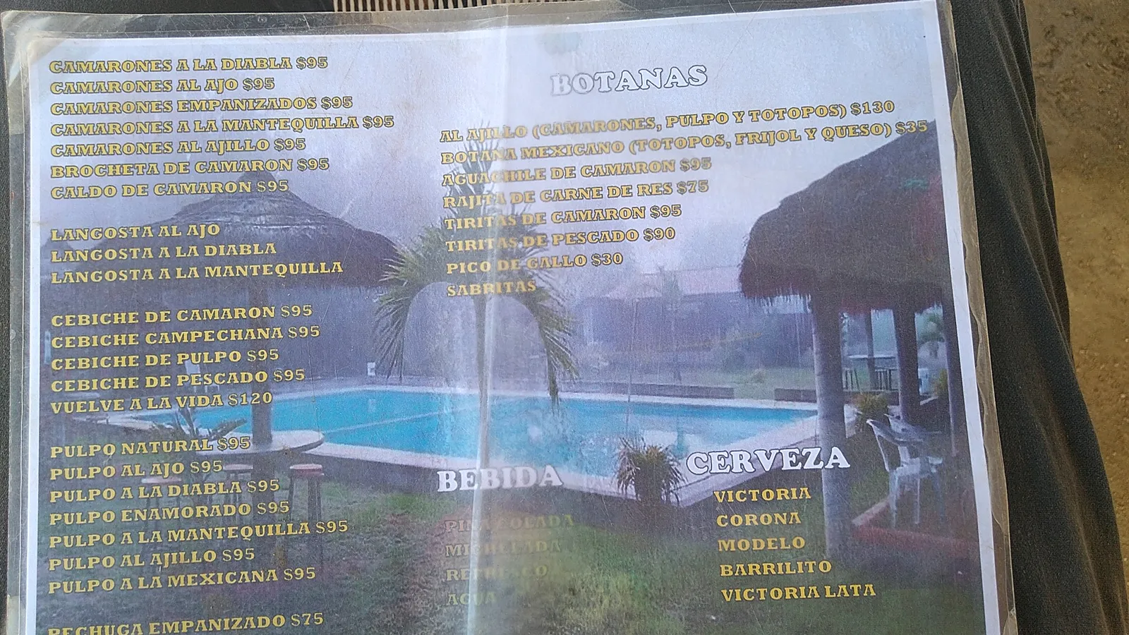 Restaurante Alberca Villa del Sol image 6
