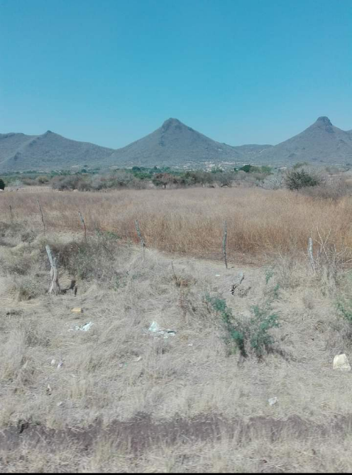 Restaurante El Paraíso, Puente san jose image 7