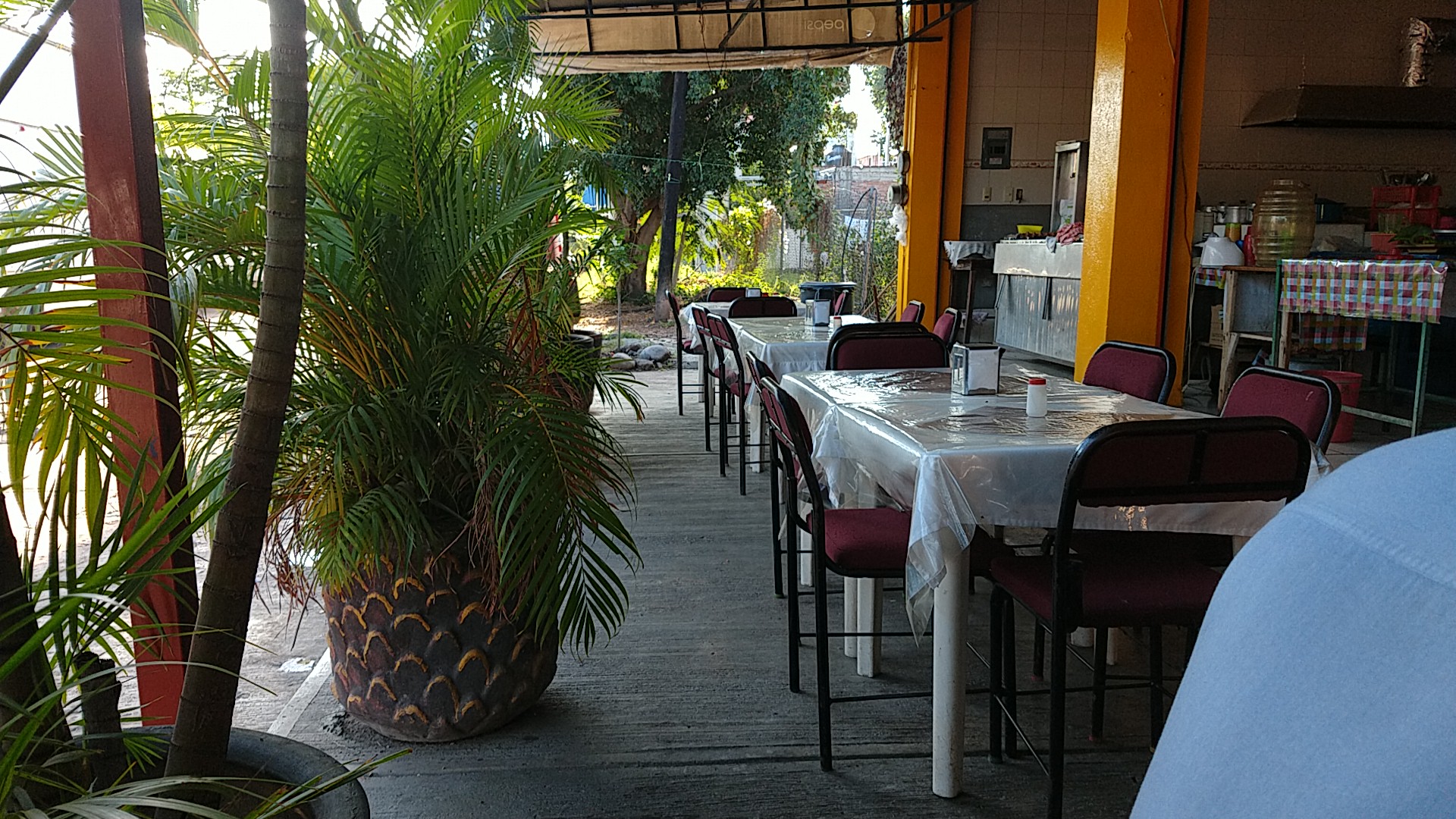 Restaurant La Ofelia image 1