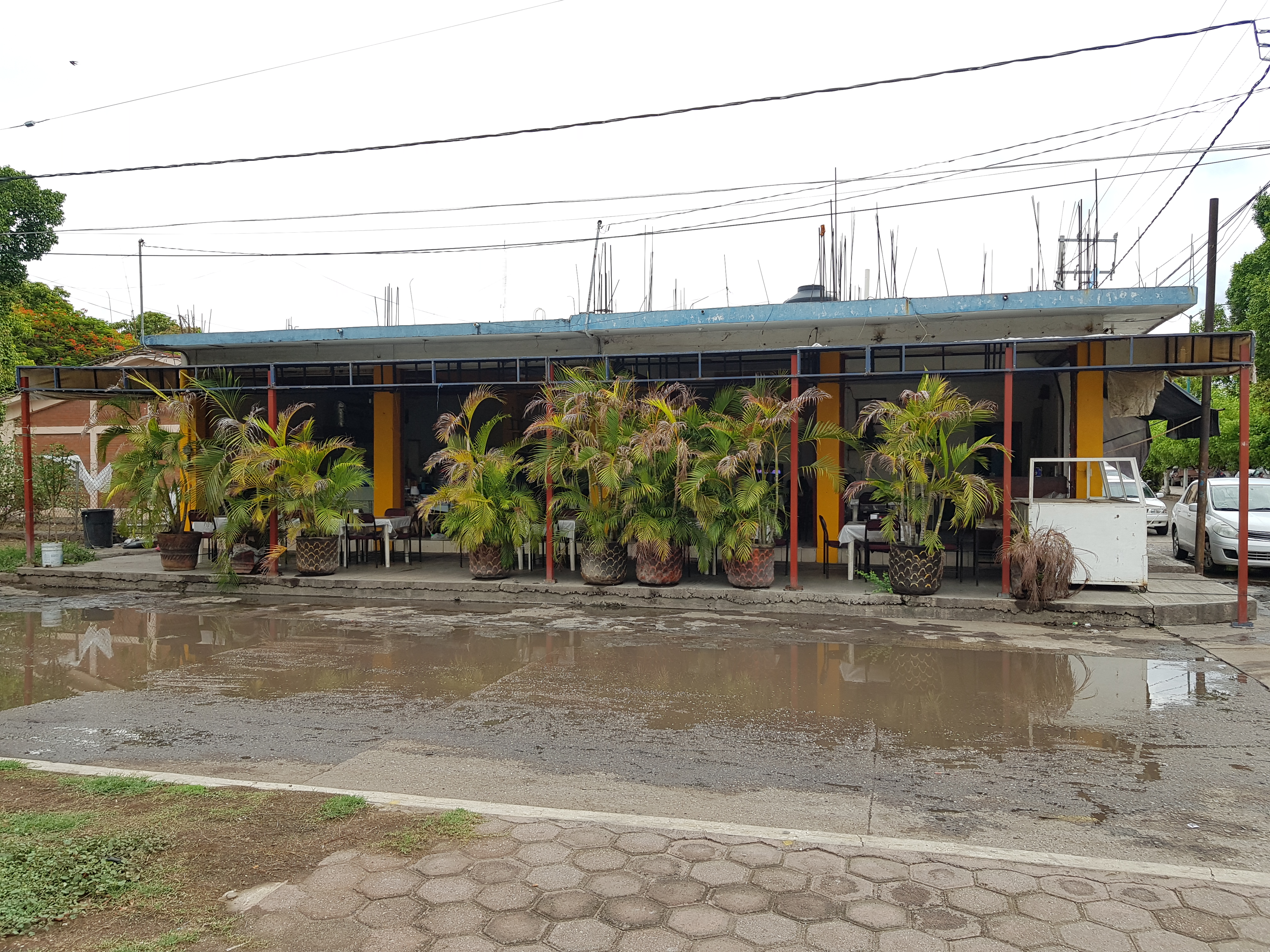 Restaurant La Ofelia image 4