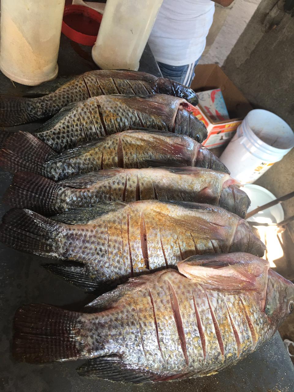 Restaurante mi tierra caliente image 4