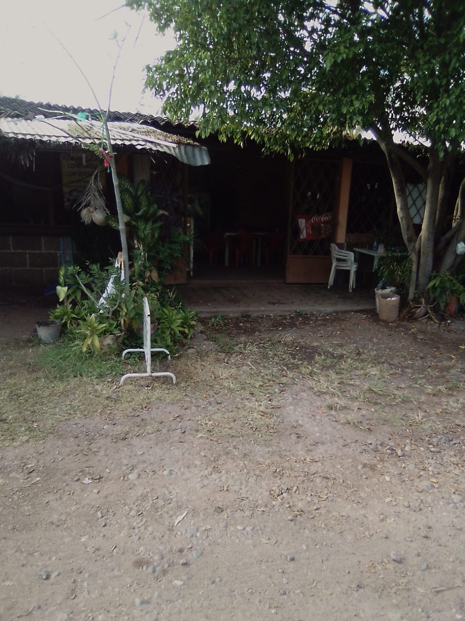 Restaurant familiar las Camelinas image 8