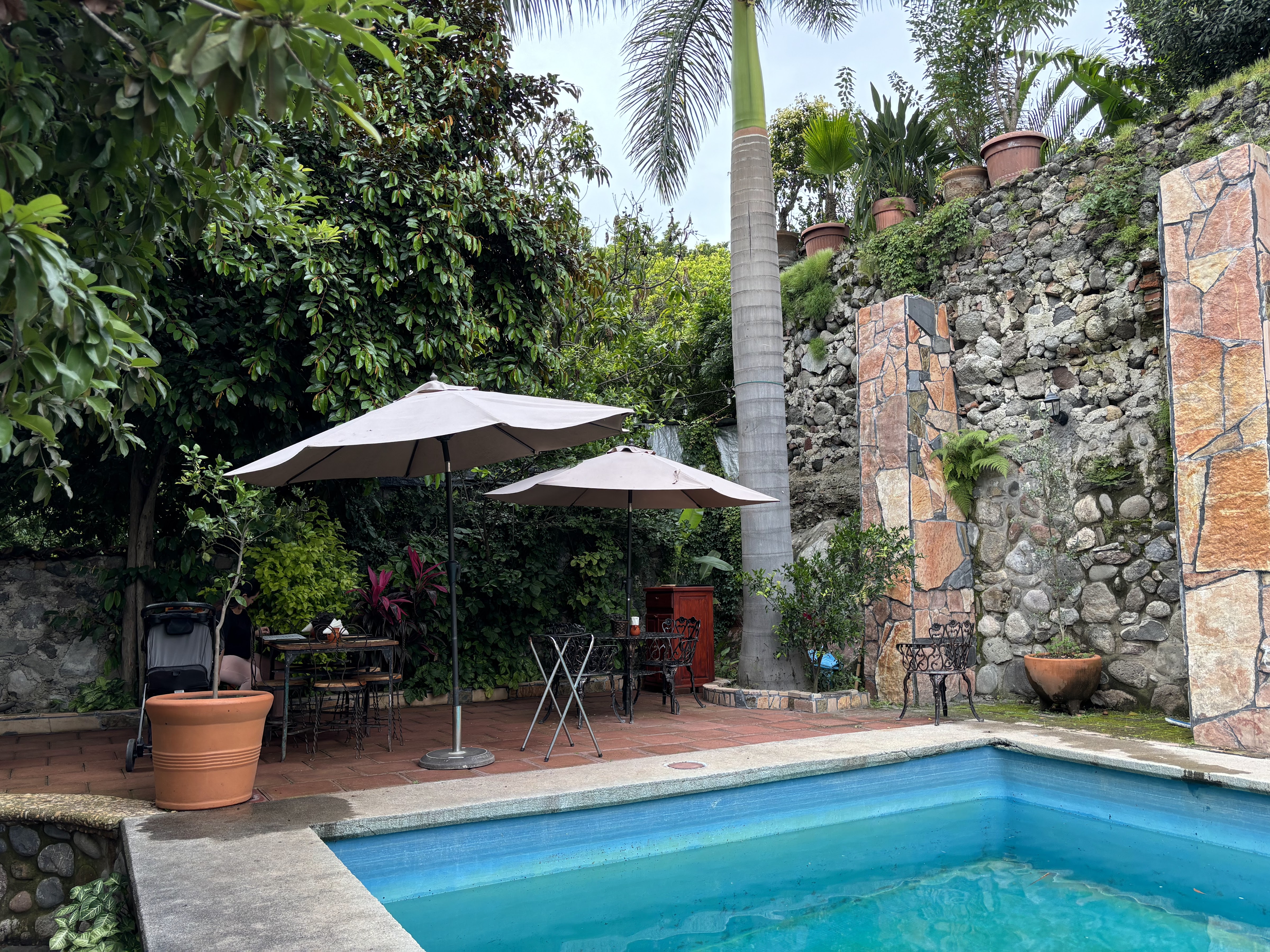 Bistro "Chumil" image 6