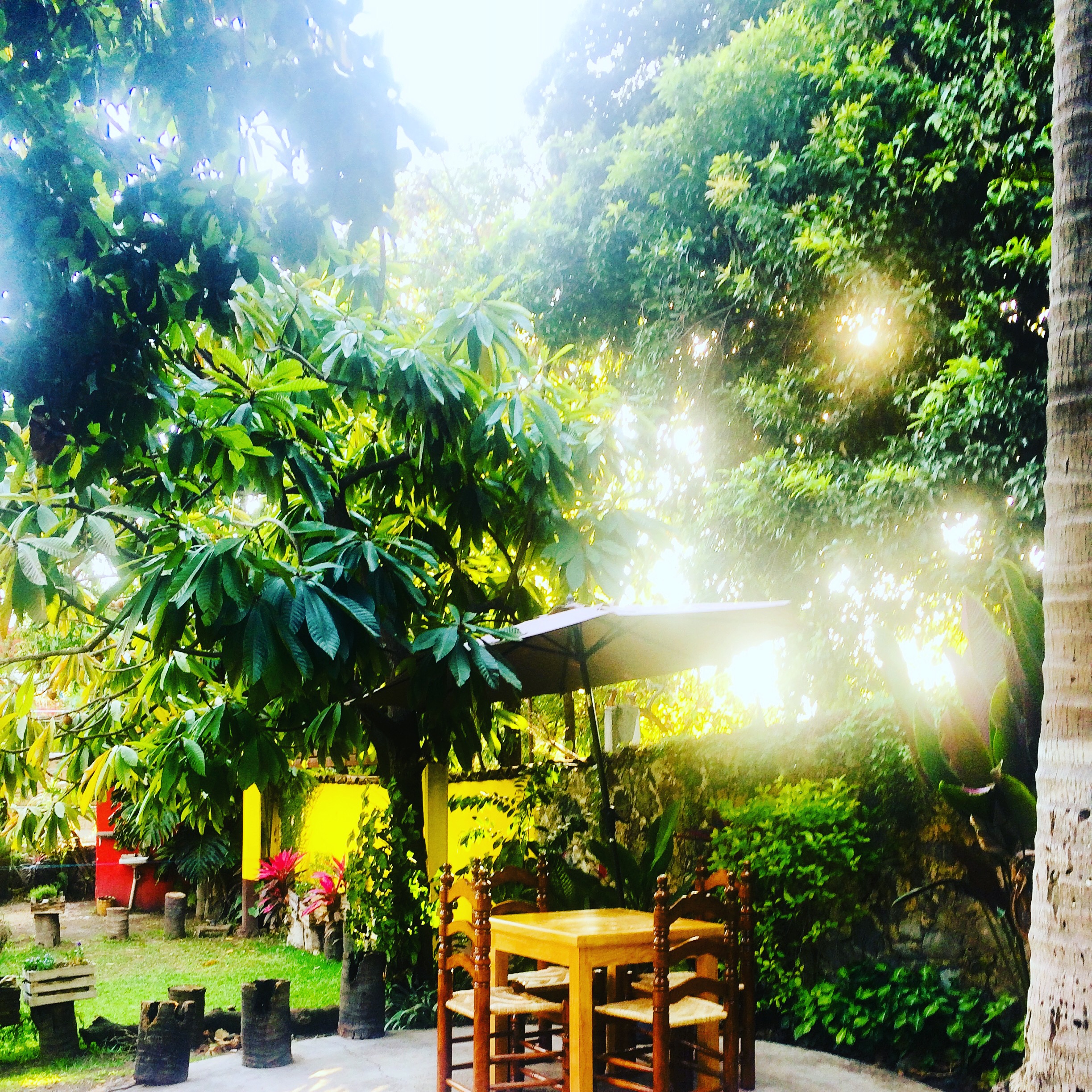 Bistro "Chumil" image 7