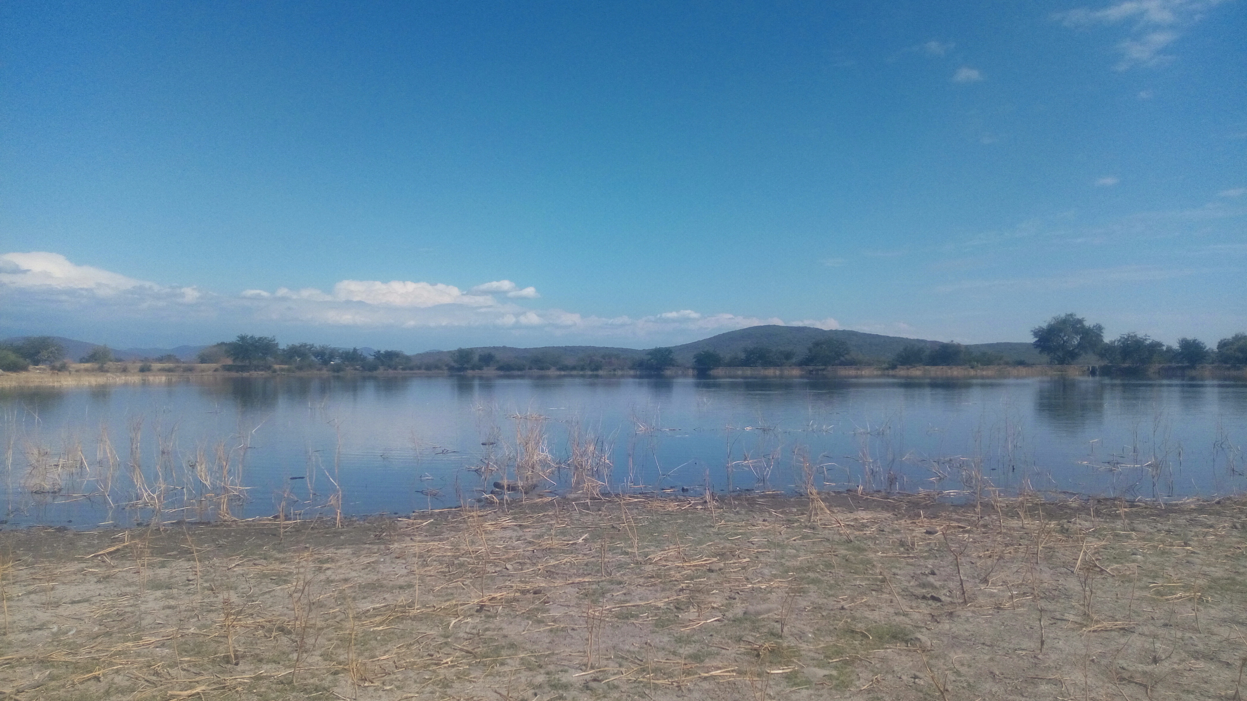 Hidden Port Restaurant image 10