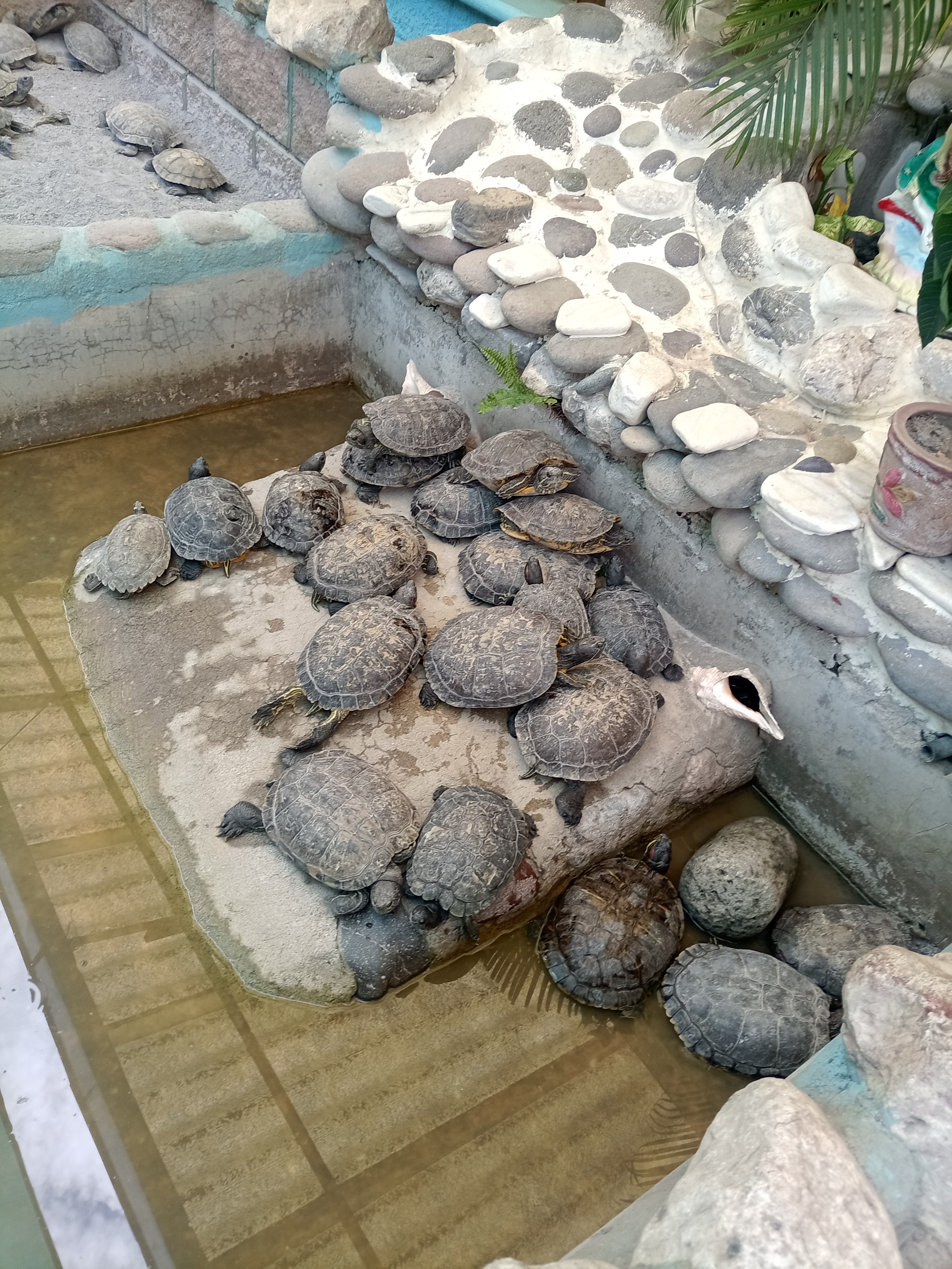 Restaurante La Pasadita image 3