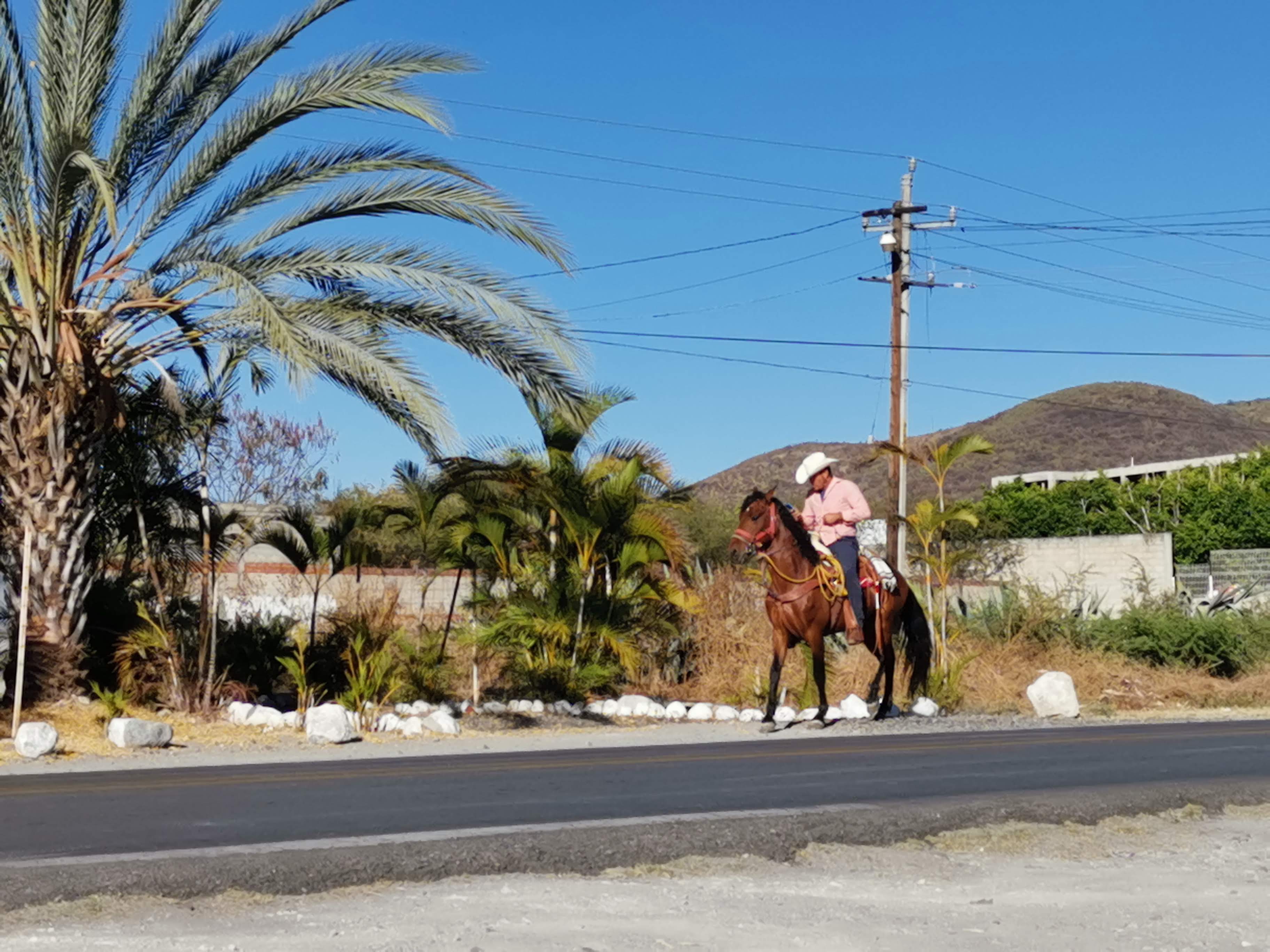 Restaurante La Pasadita image 8