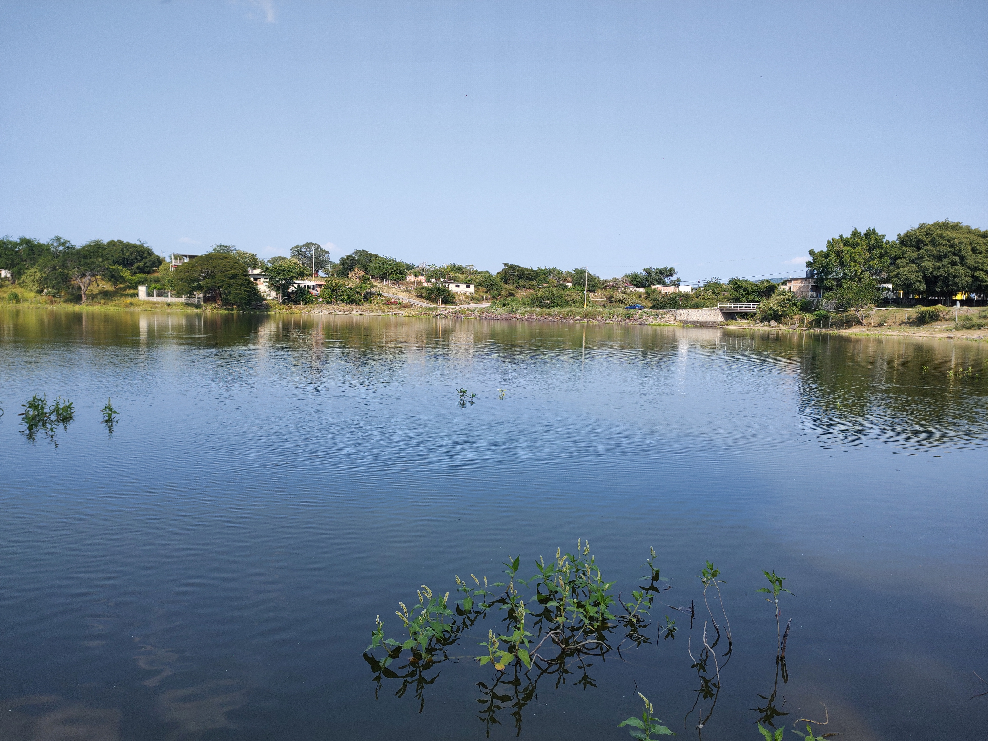 Wichis Restaurant image 4