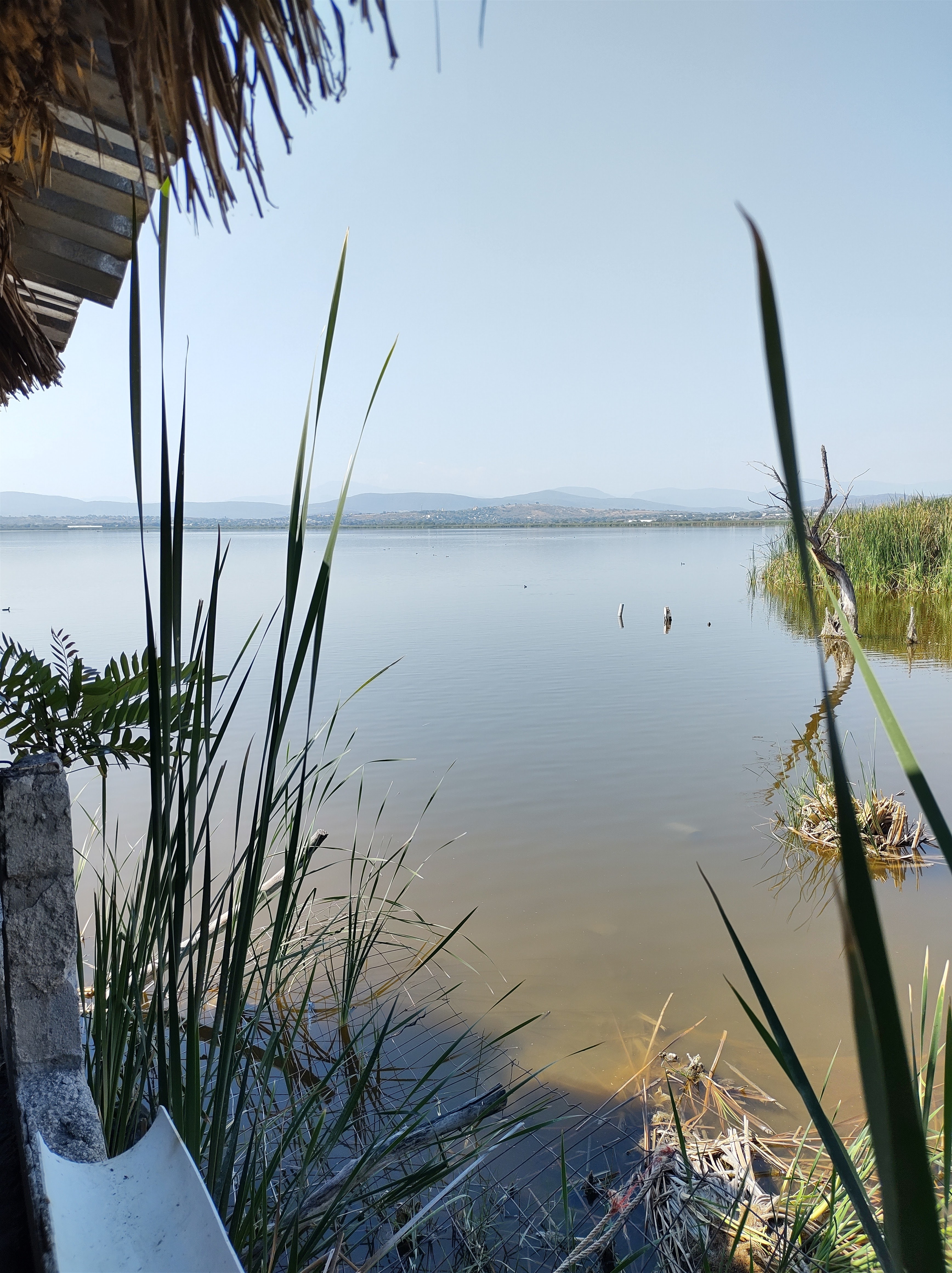 Restaurante "El Paraiso" image 9