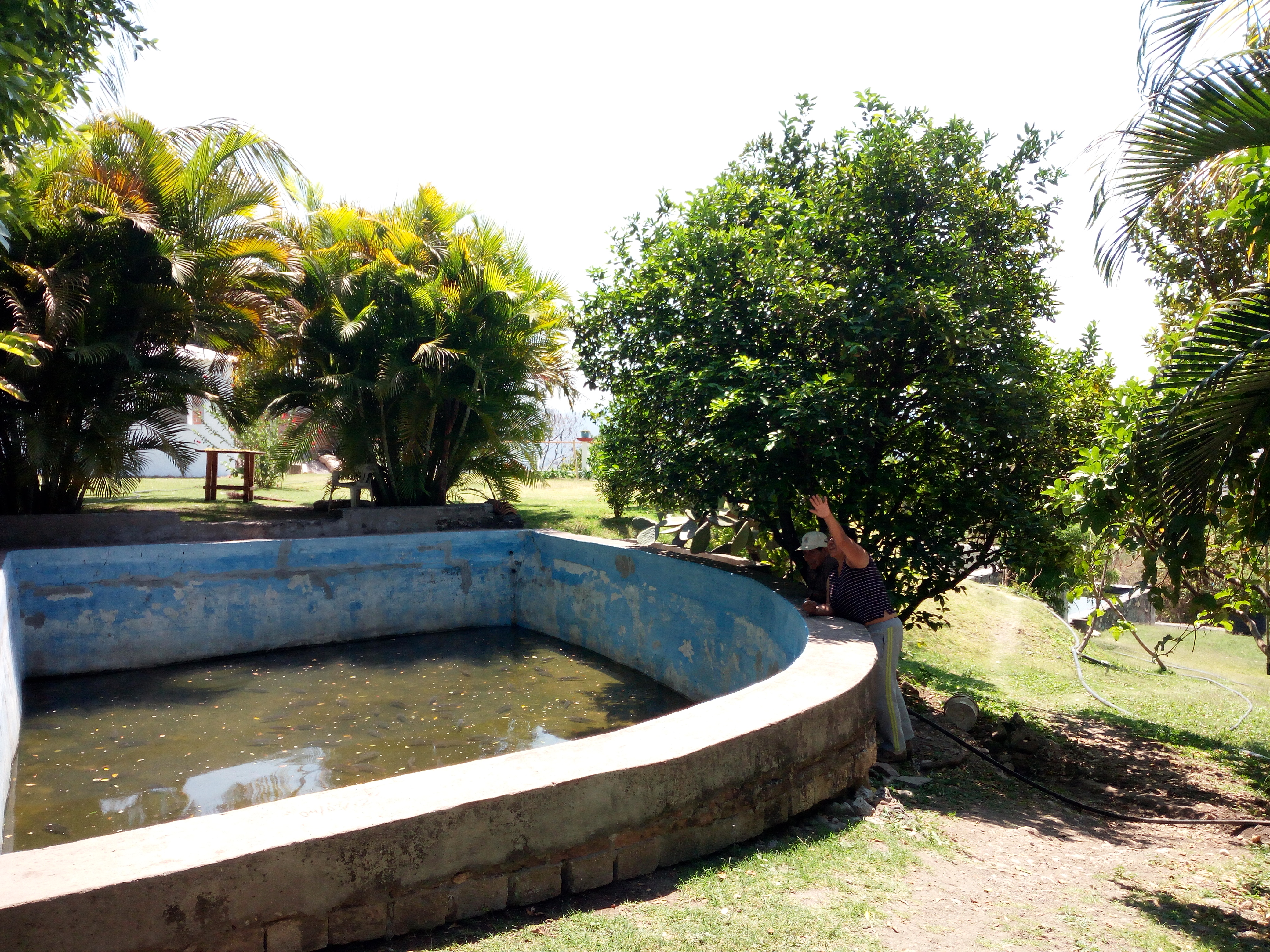 Restaurante "Rincón Paraiso" (Mojarras) image 6