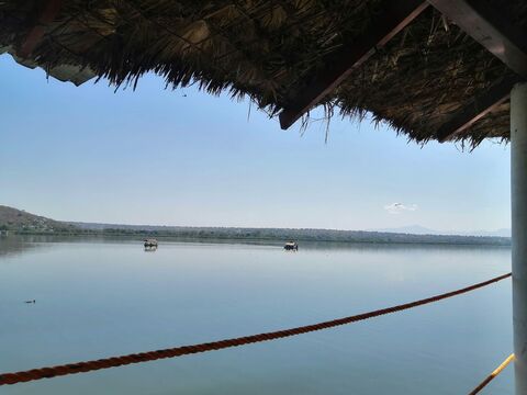 Restaurante Palapa Los Manguitos image 2