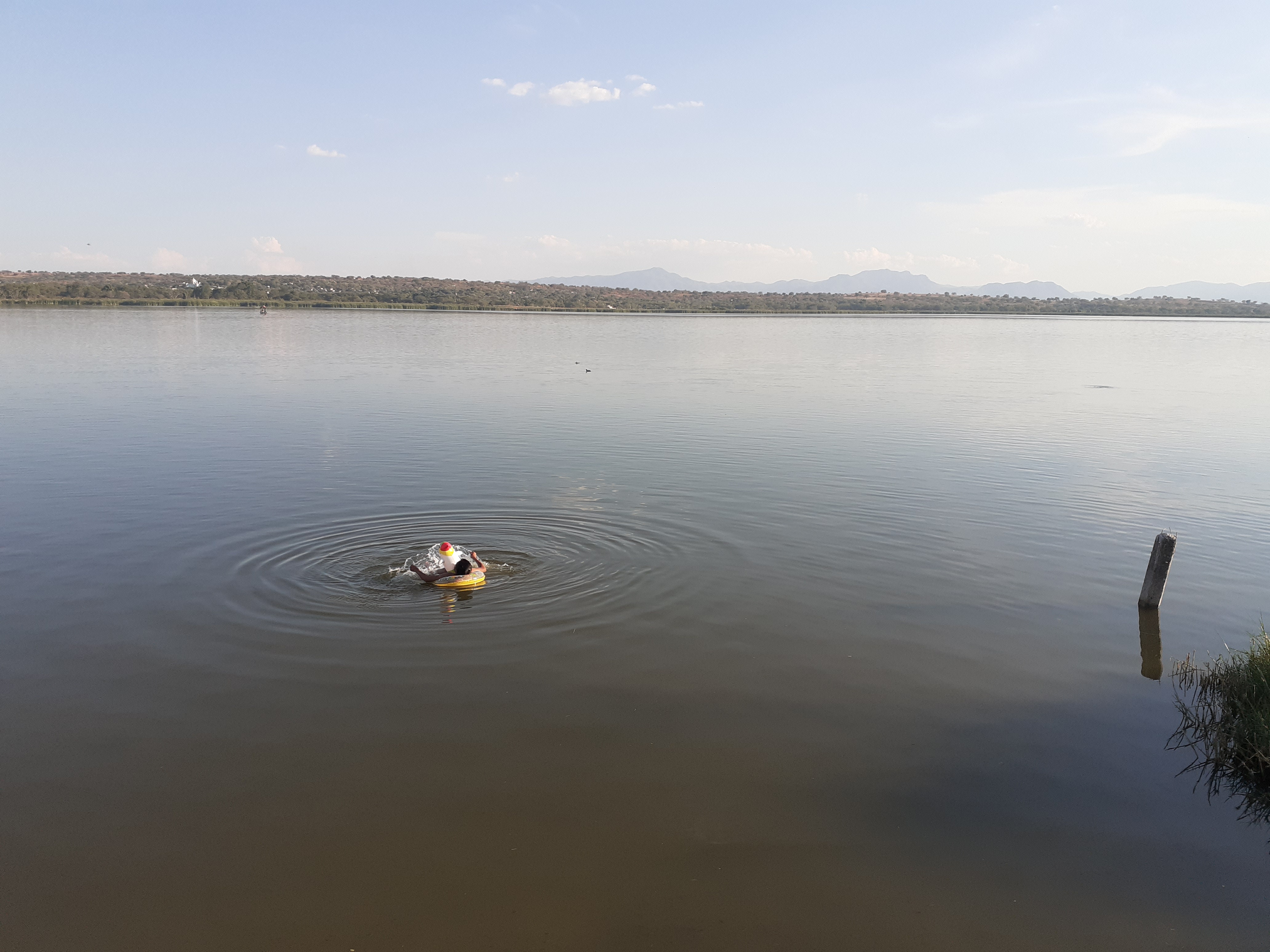 Restaurante Palapa Los Manguitos image 3