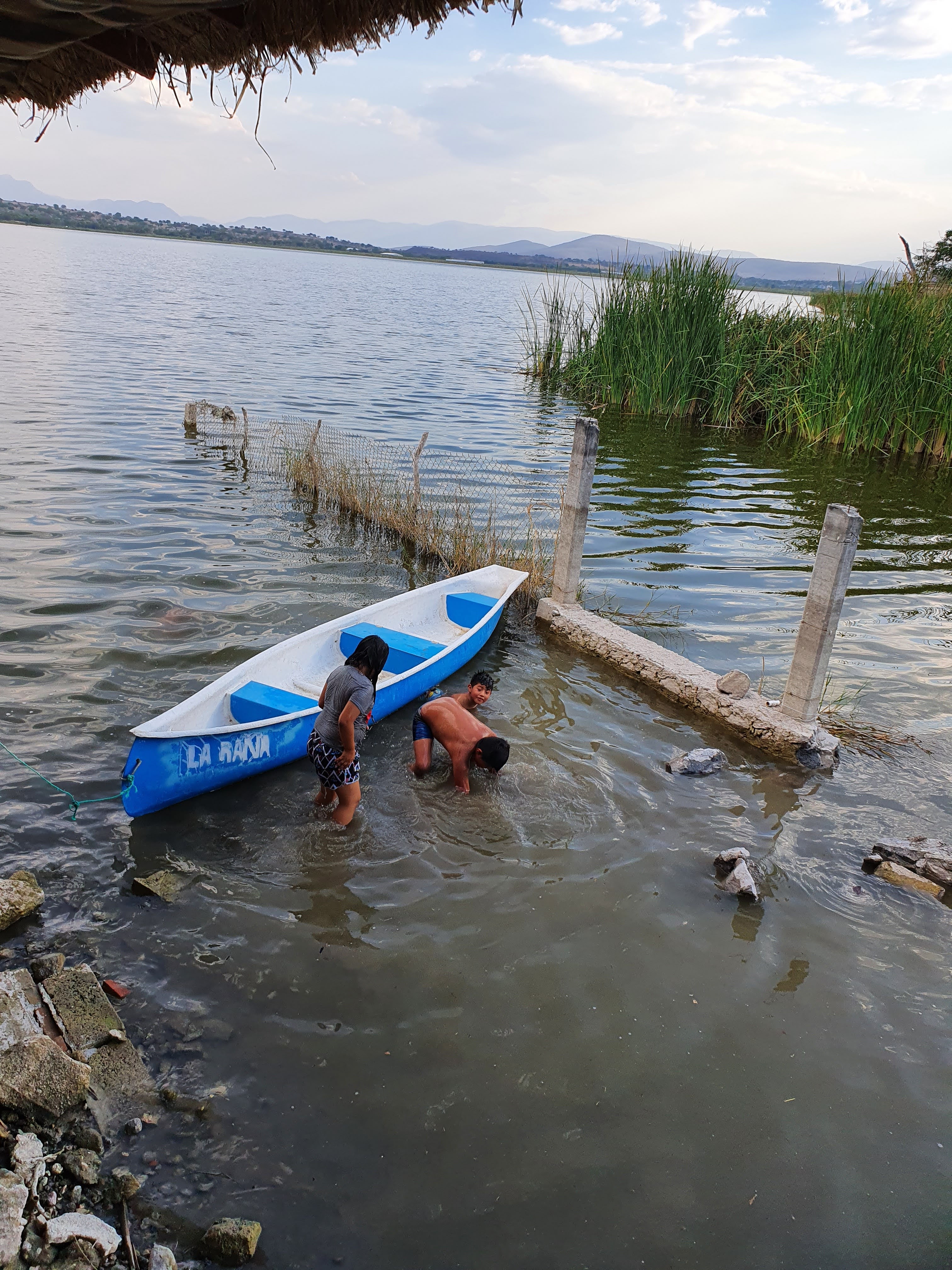 Restaurante Palapa Los Manguitos image 6