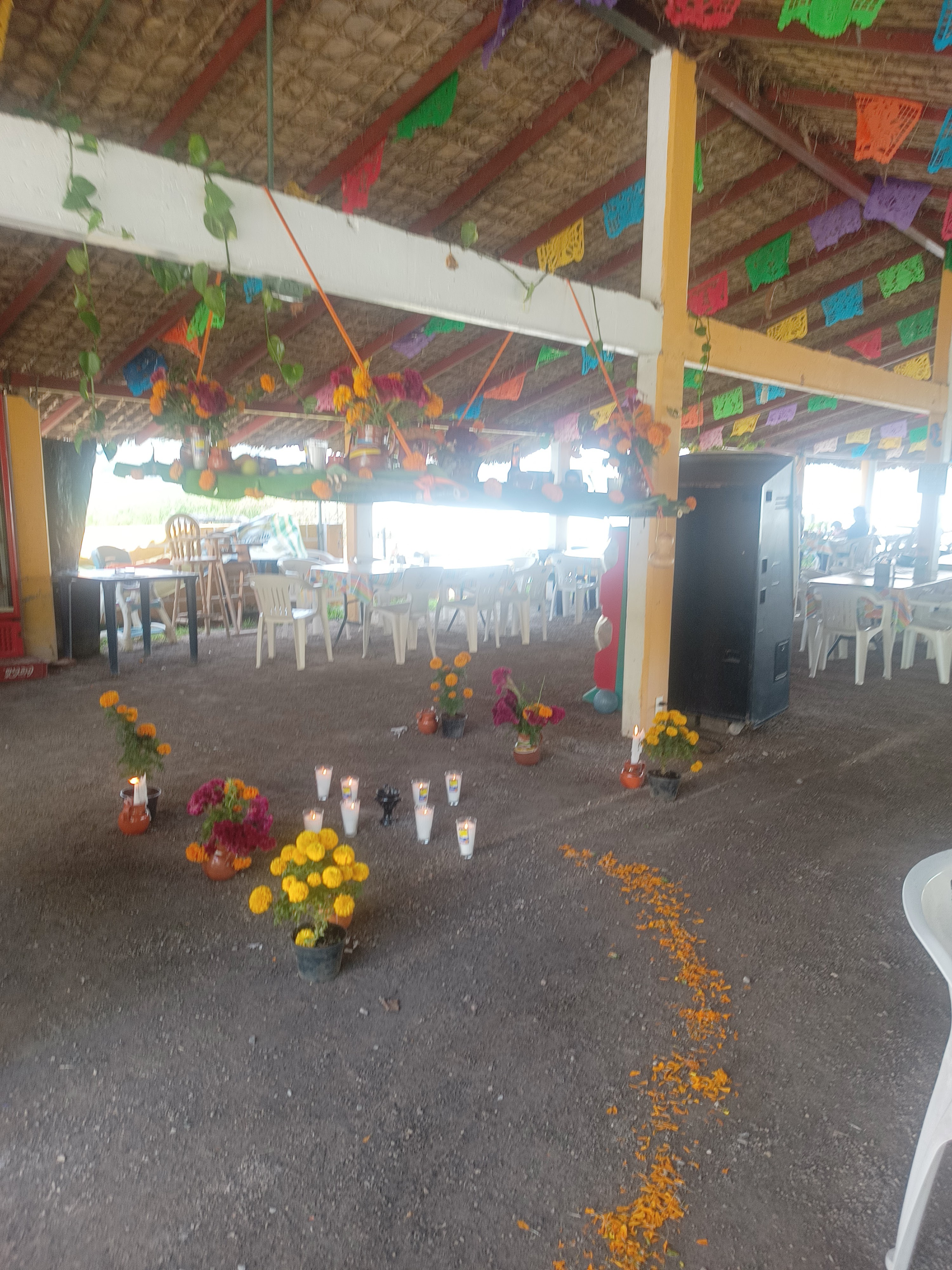 Restaurante Palapa Los Manguitos image 9