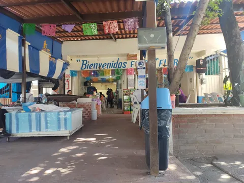Fonda Flores image 1